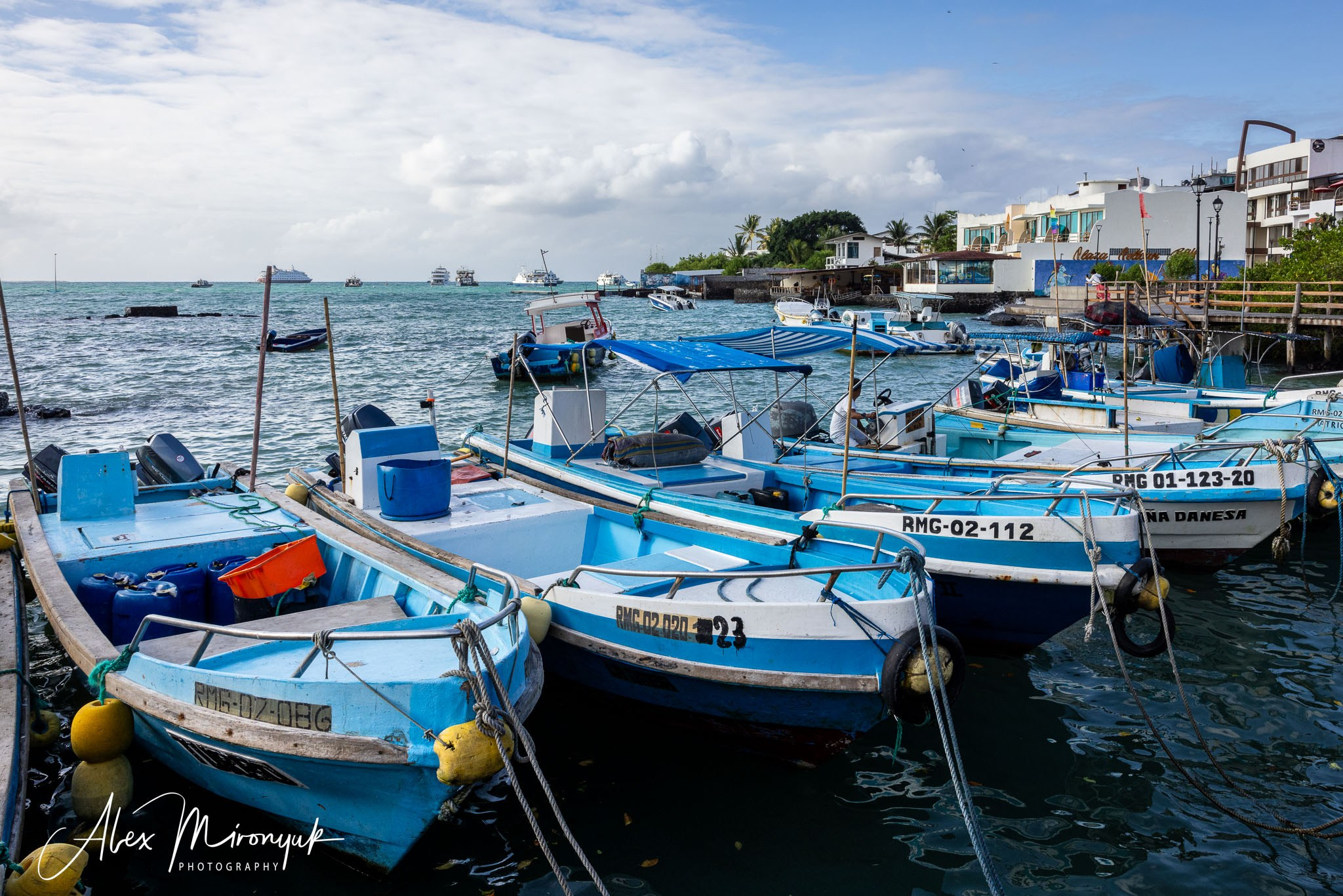 Galapagos Islands Adventure. Alex Mironyuk Photography