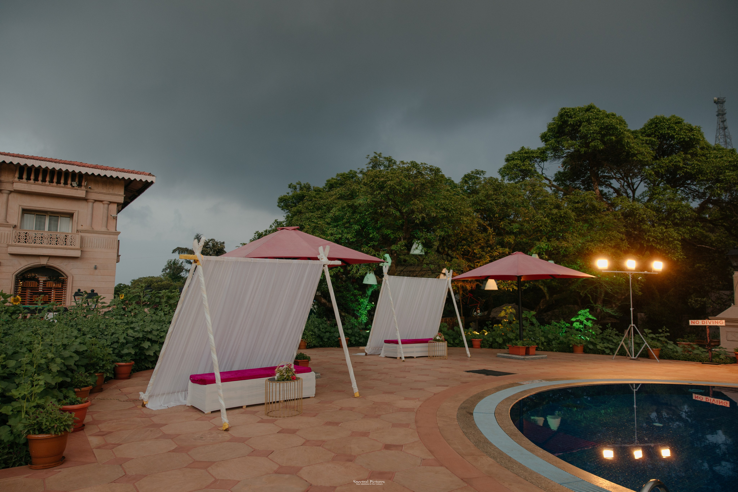 #THEPURALOVESTORY is a journey of two hearts growing in sync, across seasons, challenges, and memories