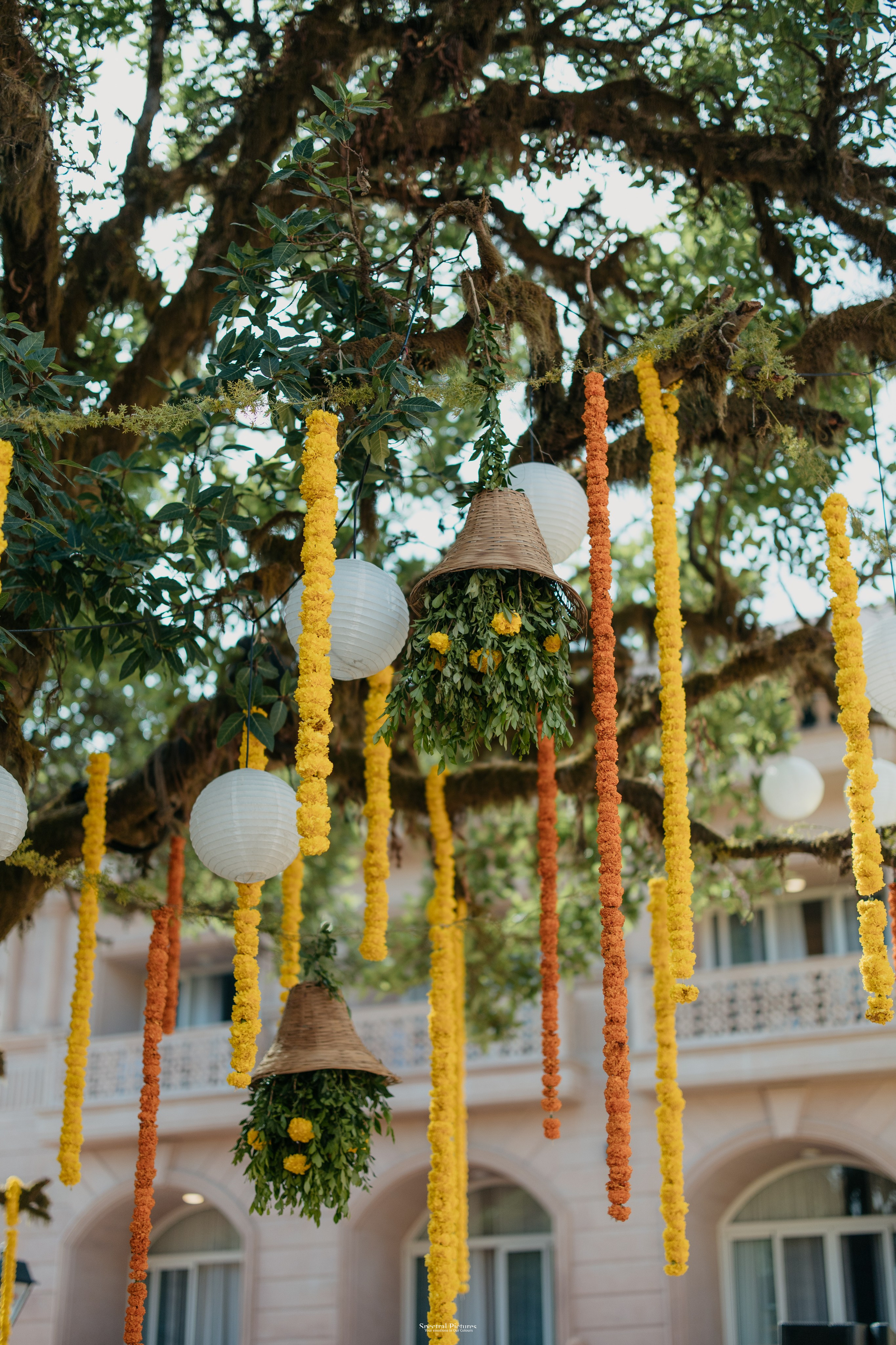 #THEPURALOVESTORY is a journey of two hearts growing in sync, across seasons, challenges, and memories