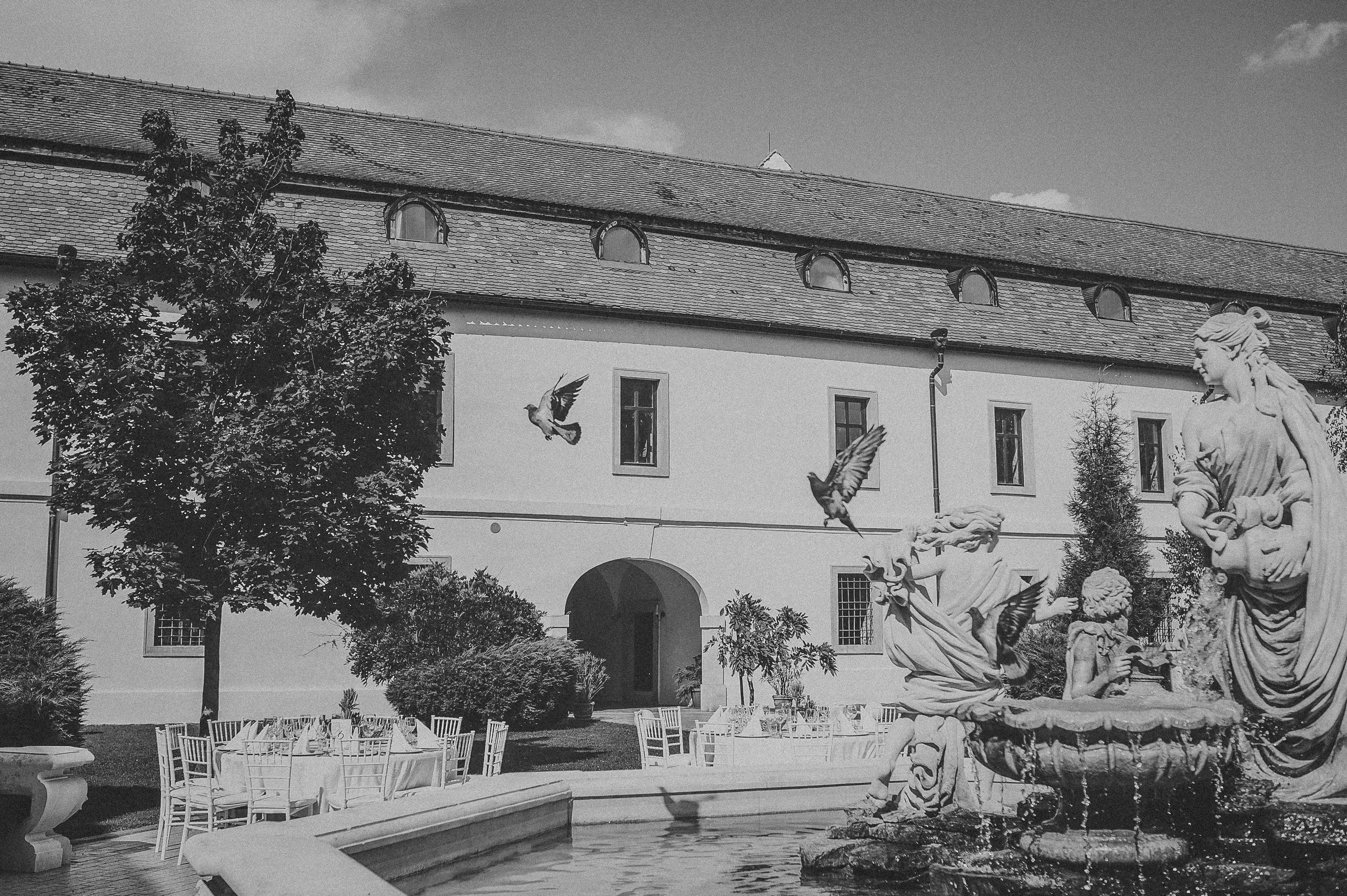 Alina și Ionuț | Fotografii Alb-Negru în Alba Iulia | Alex Vasilie. Alex Vasilie | Fotograf de Nuntă, Botez și Portret | Cluj-Napoca