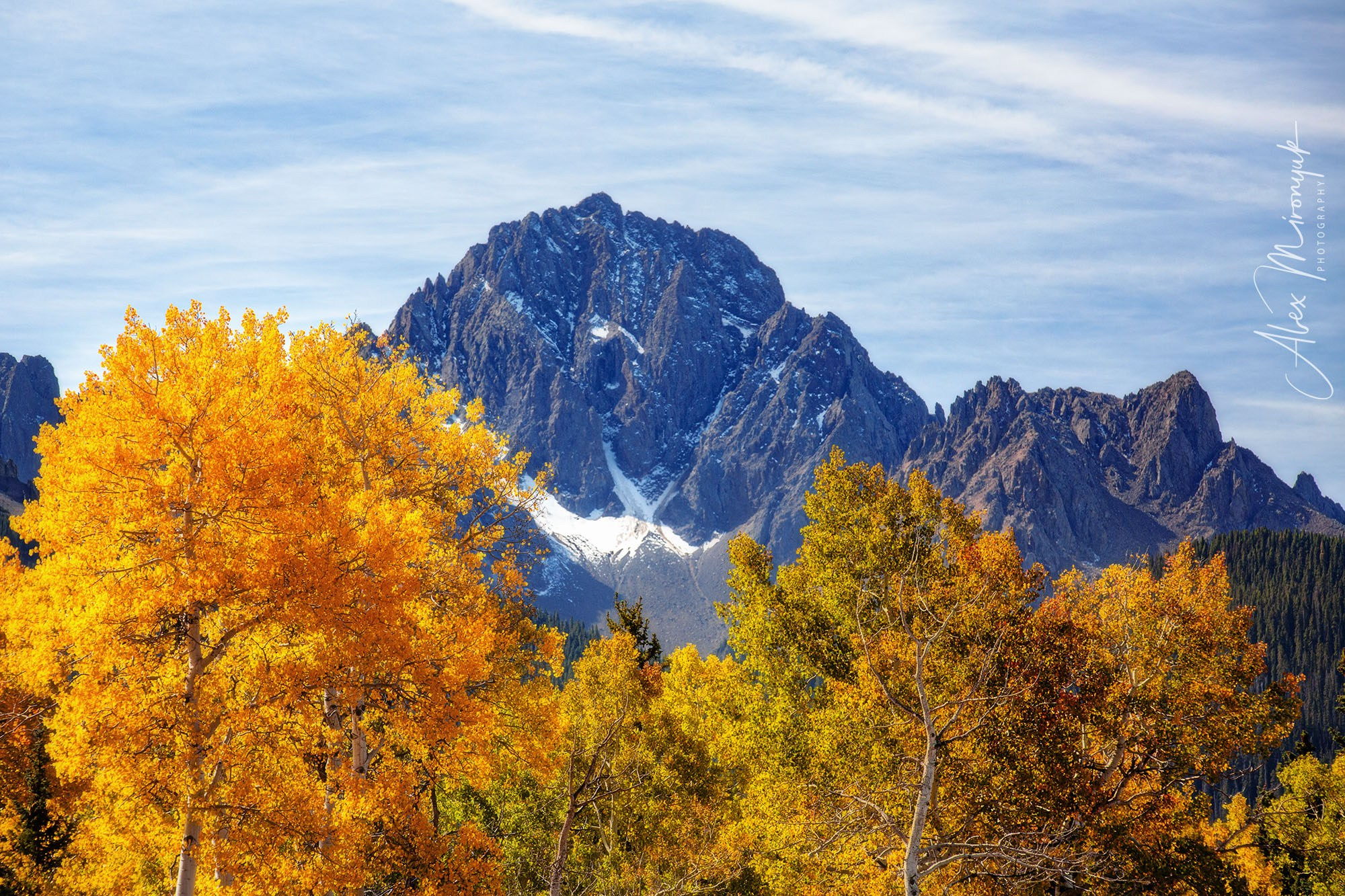 Fall Colors Of Colorado. Pet, Senior, Landscape, portrait studio, photographer in Miami and Sou