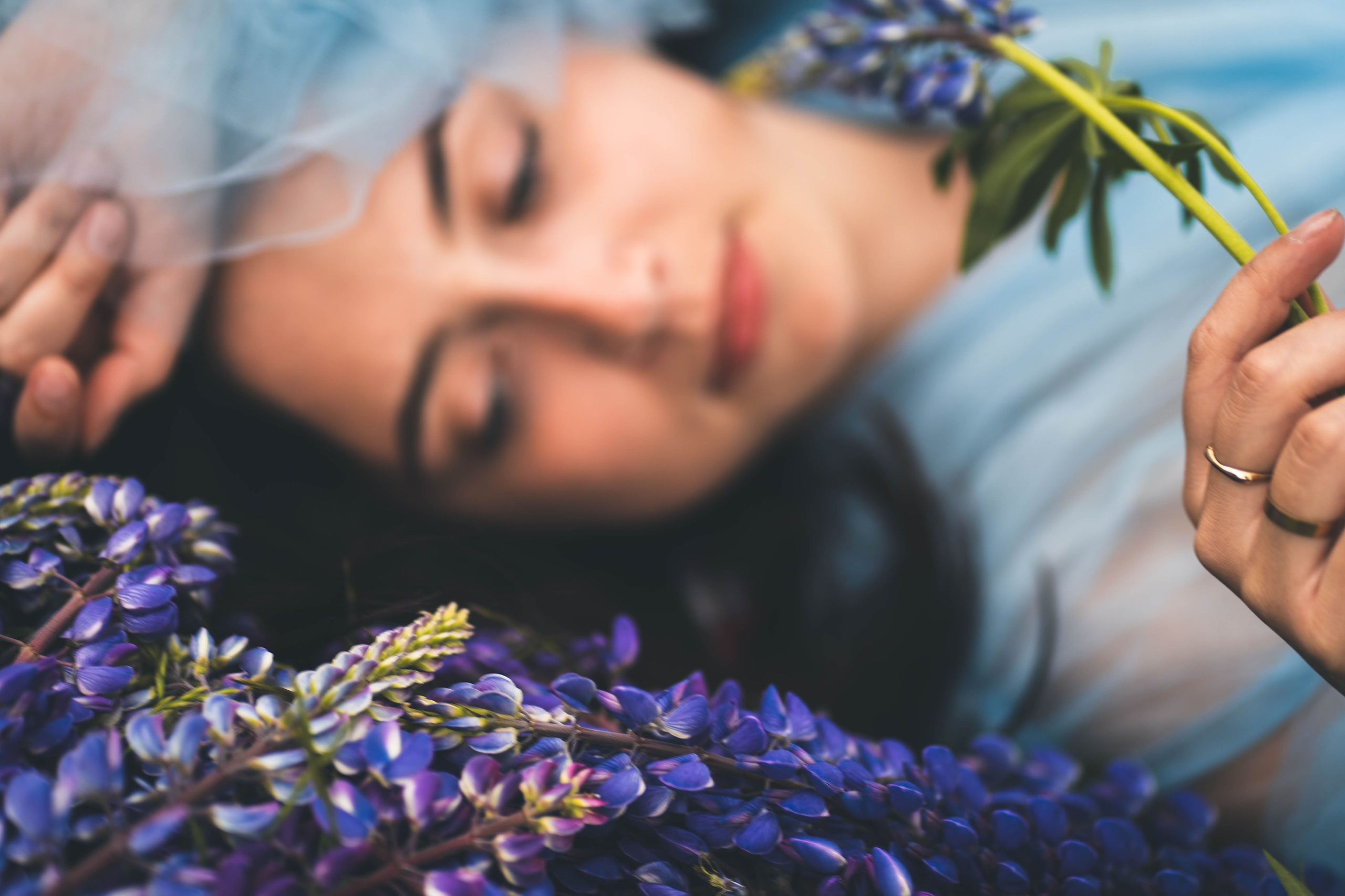 Fotografija — Olga Bojarin
