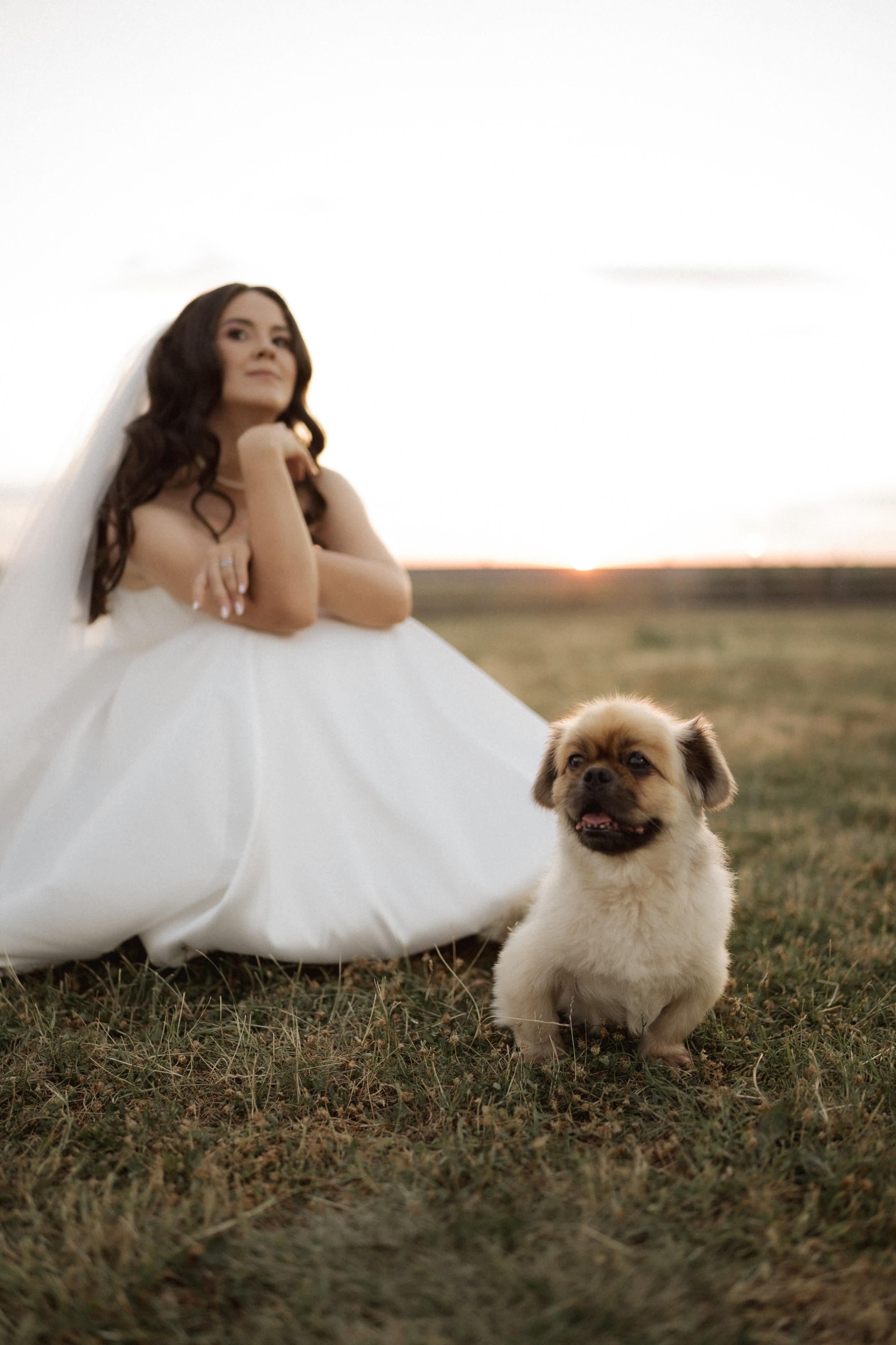 Victoria & Cristian | Wedding at Province Timisoara. Wedding photographer and videographer based in Timisoara, Romania