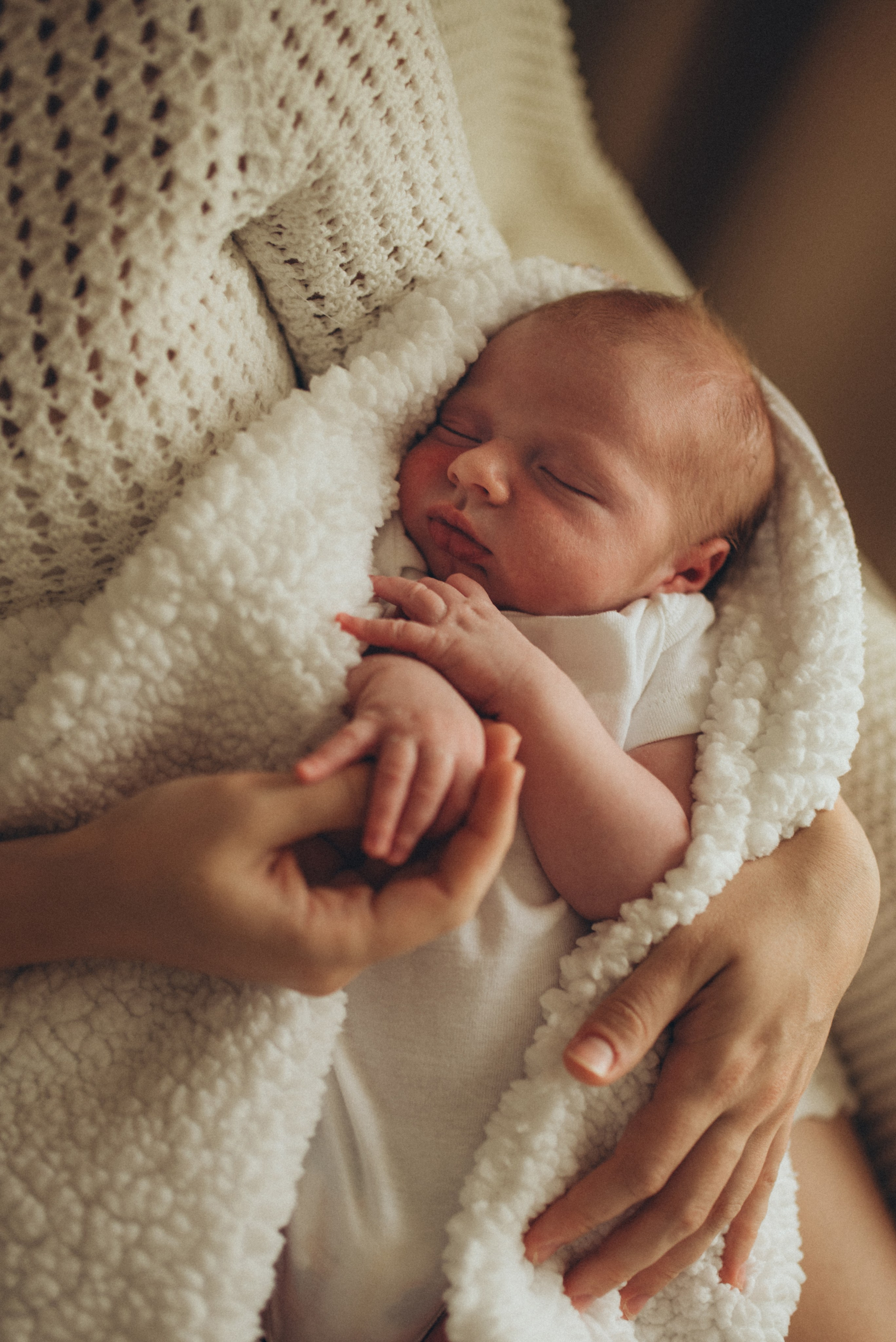 newborn on mom's hands