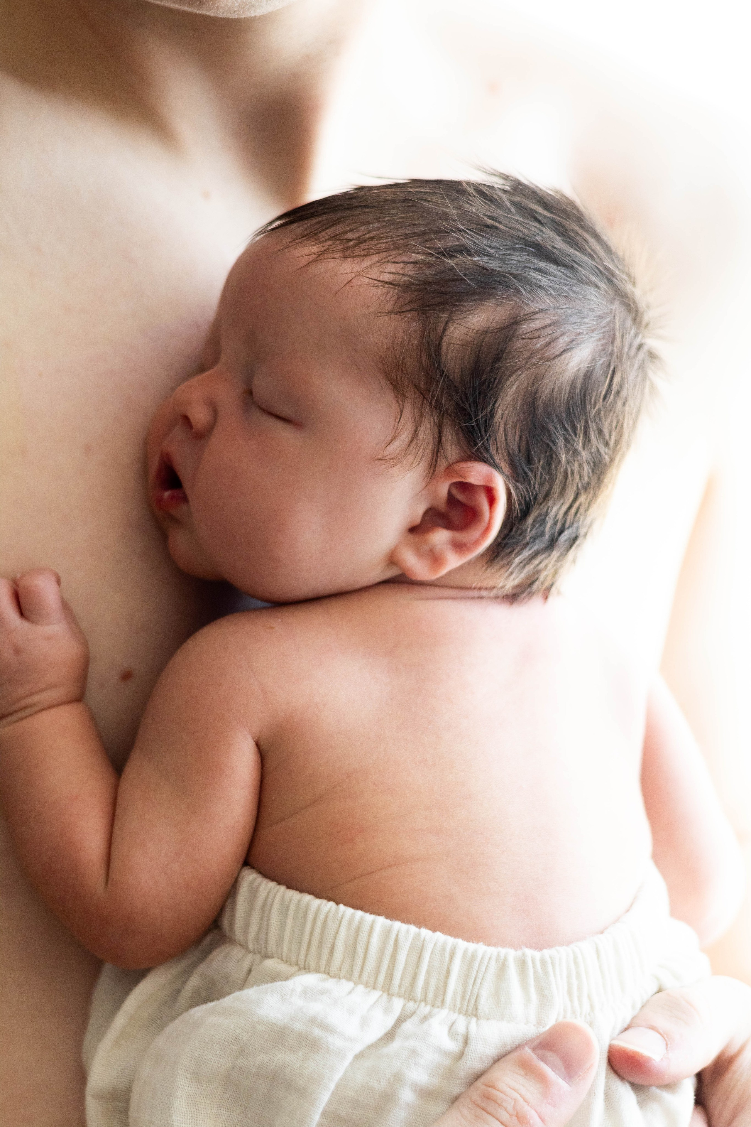 Aanbod en prijzen. Zwangerschapsfotografie, newborn, gezinnen, branding, liefde én geboortefotografie