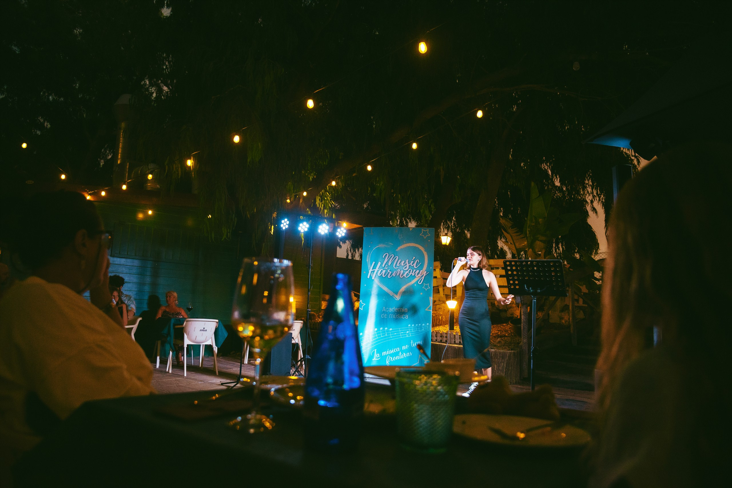 Photo report from a creative evening at the El Bosque Animado restaurant, Torrevieja