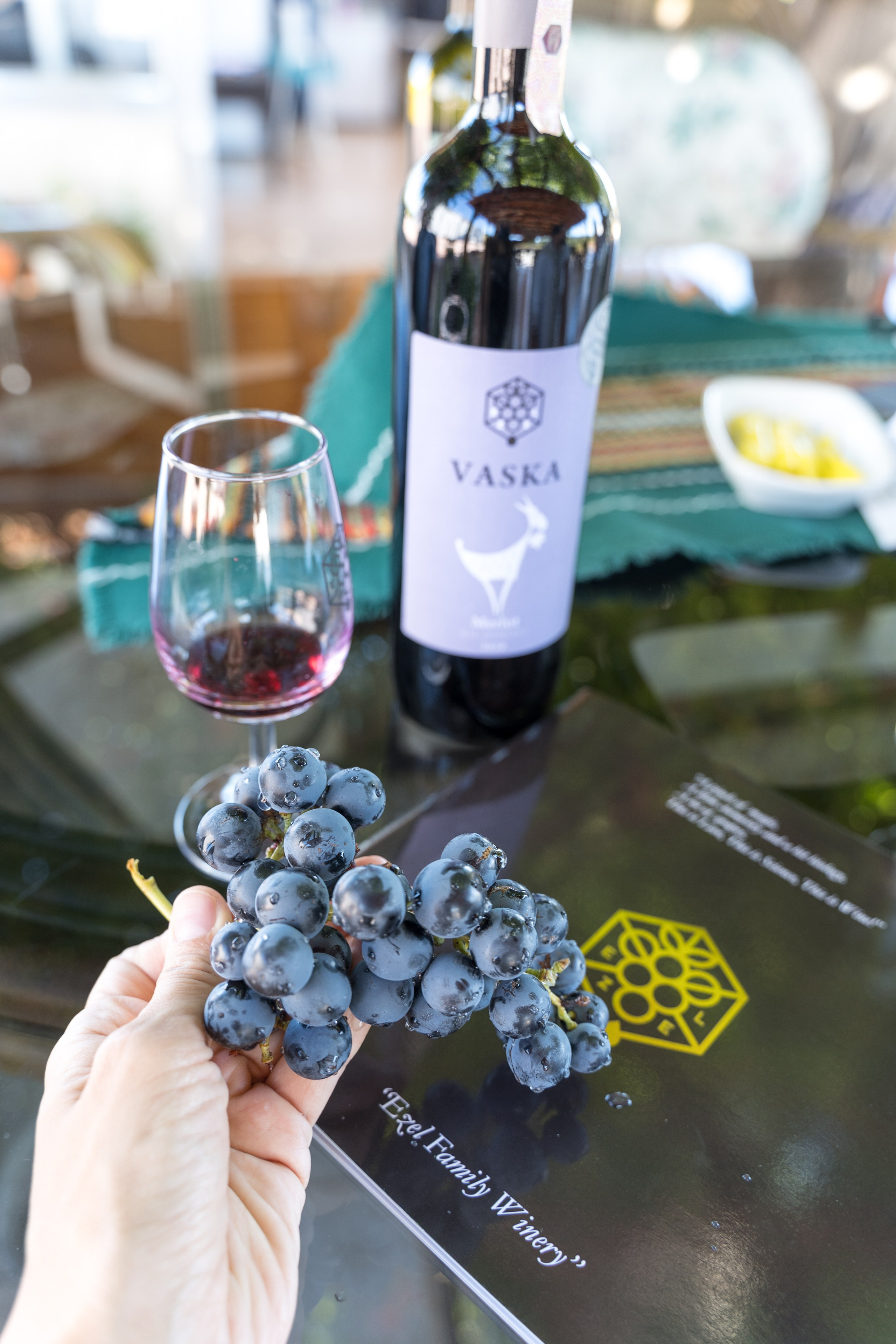 Экскурсия в винный регион Чал из Анталии. Ирина, фотограф в Анталии. Фотосессии в Кемере, Белеке, Сиде, Бодруме, Каше и Фетхие