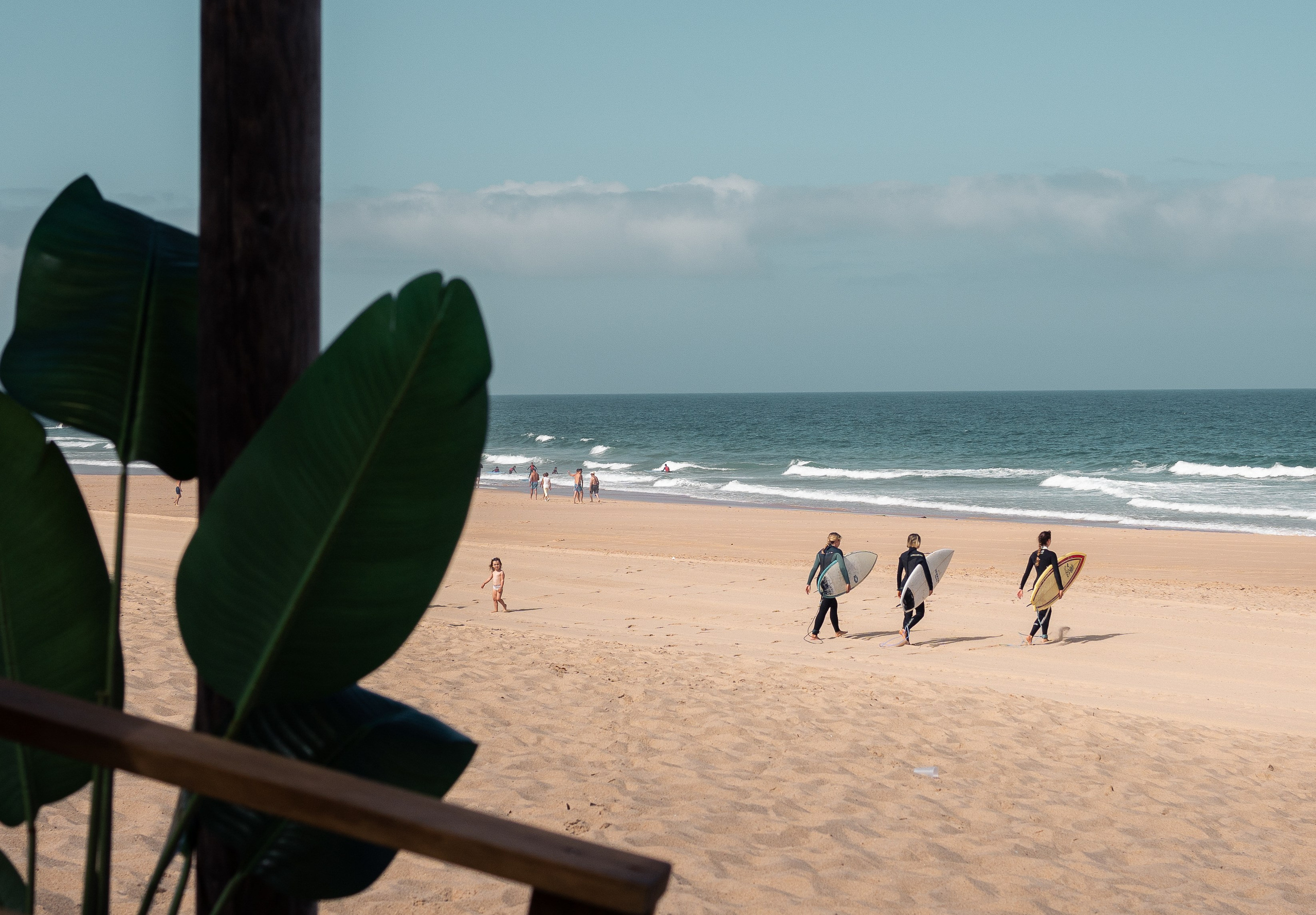 Stories from a Place Between Sea and Land. Catarina Calheiros