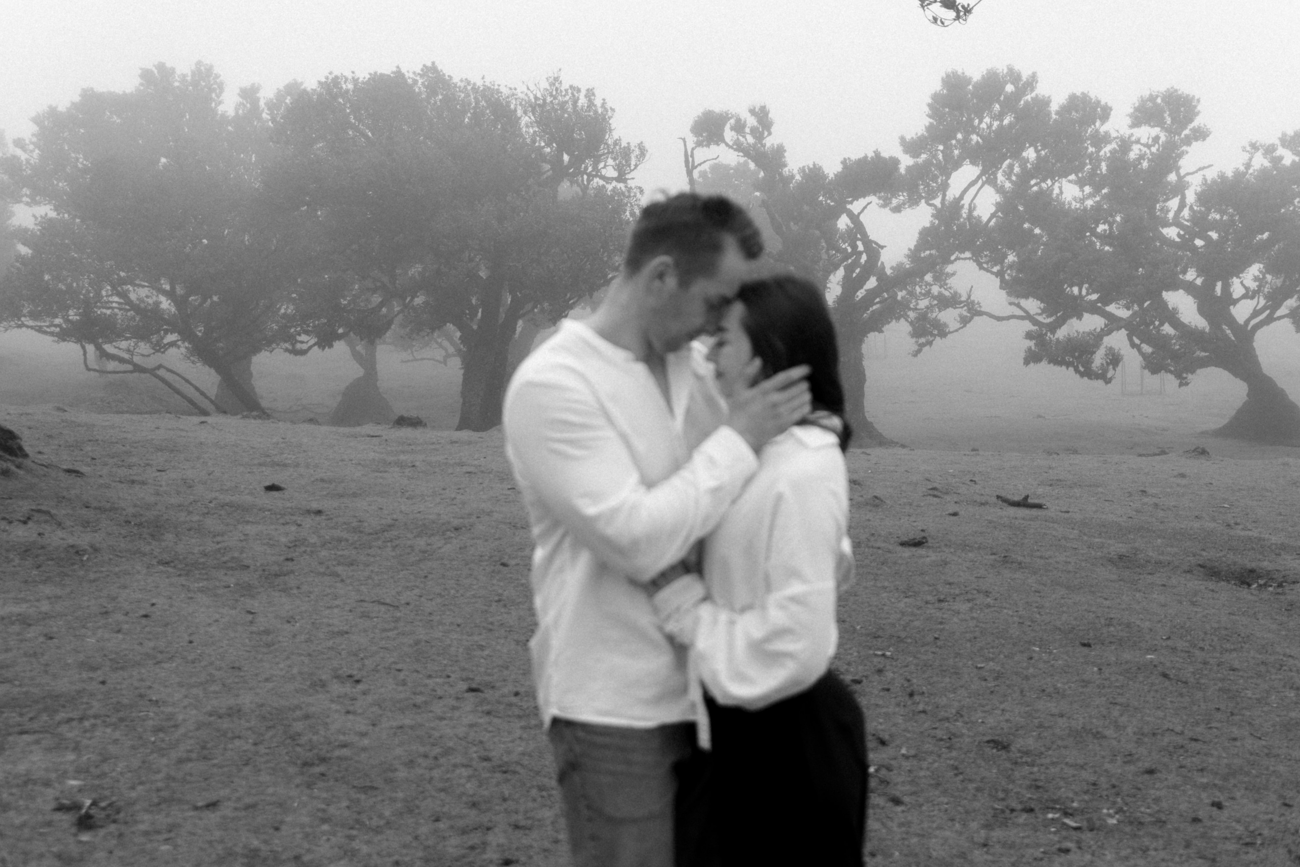 Magic of Fanal Forest. Wedding photographer and videographer based in Timisoara, Romania