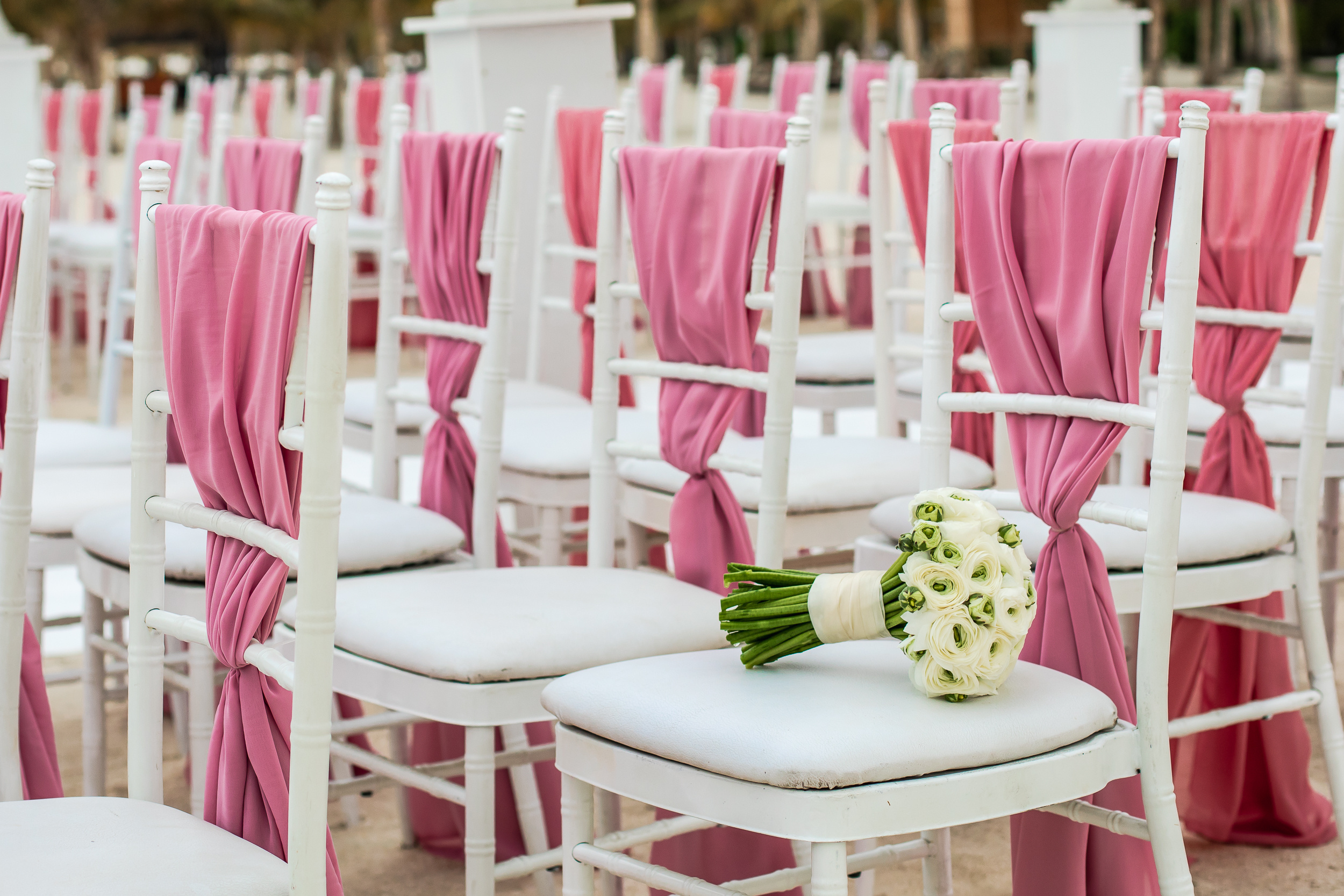 The advantage of having professional wedding videography services. Wedding female photo and video studio in UAE