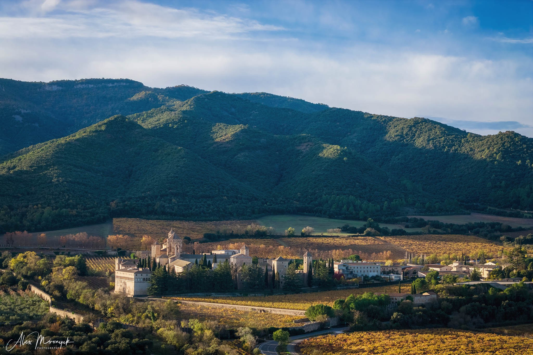 Catalonian Medieval Castles. Pet, Senior, Landscape, portrait studio, photographer in Miami and Sou