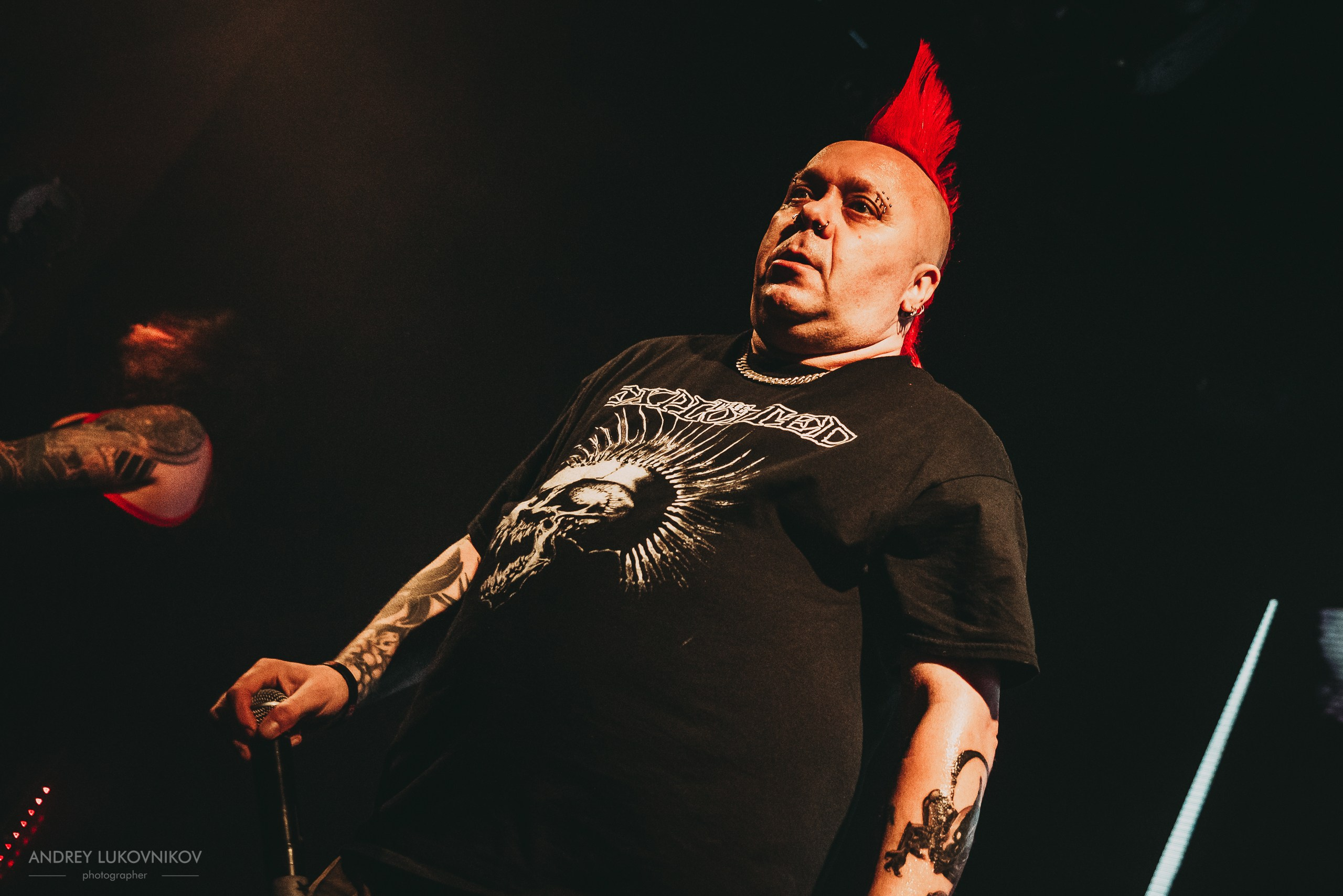 The Exploited. Tour 2017
