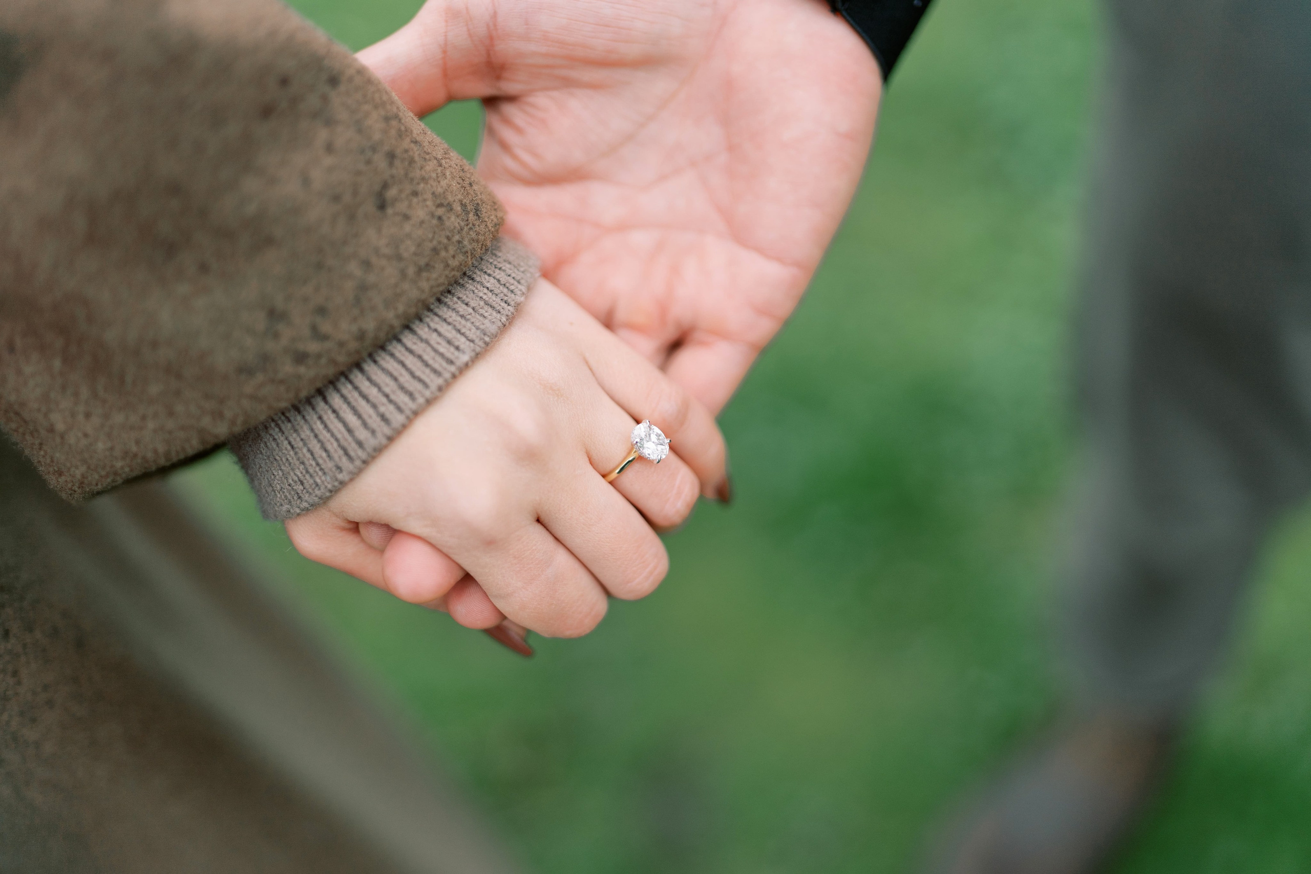 Proposal. November 2024. EVAN ARISTOV WEDDING PHOTOGRAPHY — Seattle Wedding Photographer