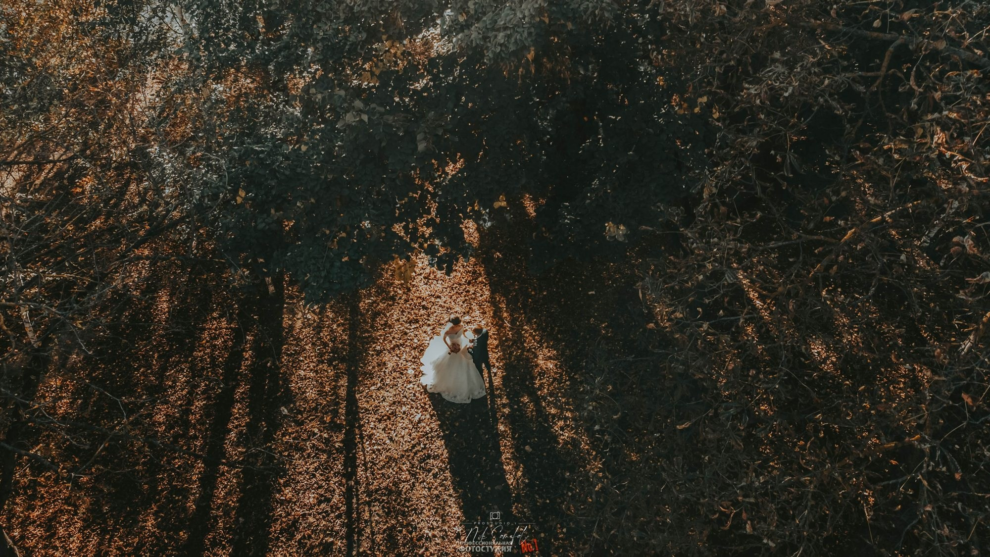 Drone wedding photography South Florida — aerial photo of the couple in a forest clearing