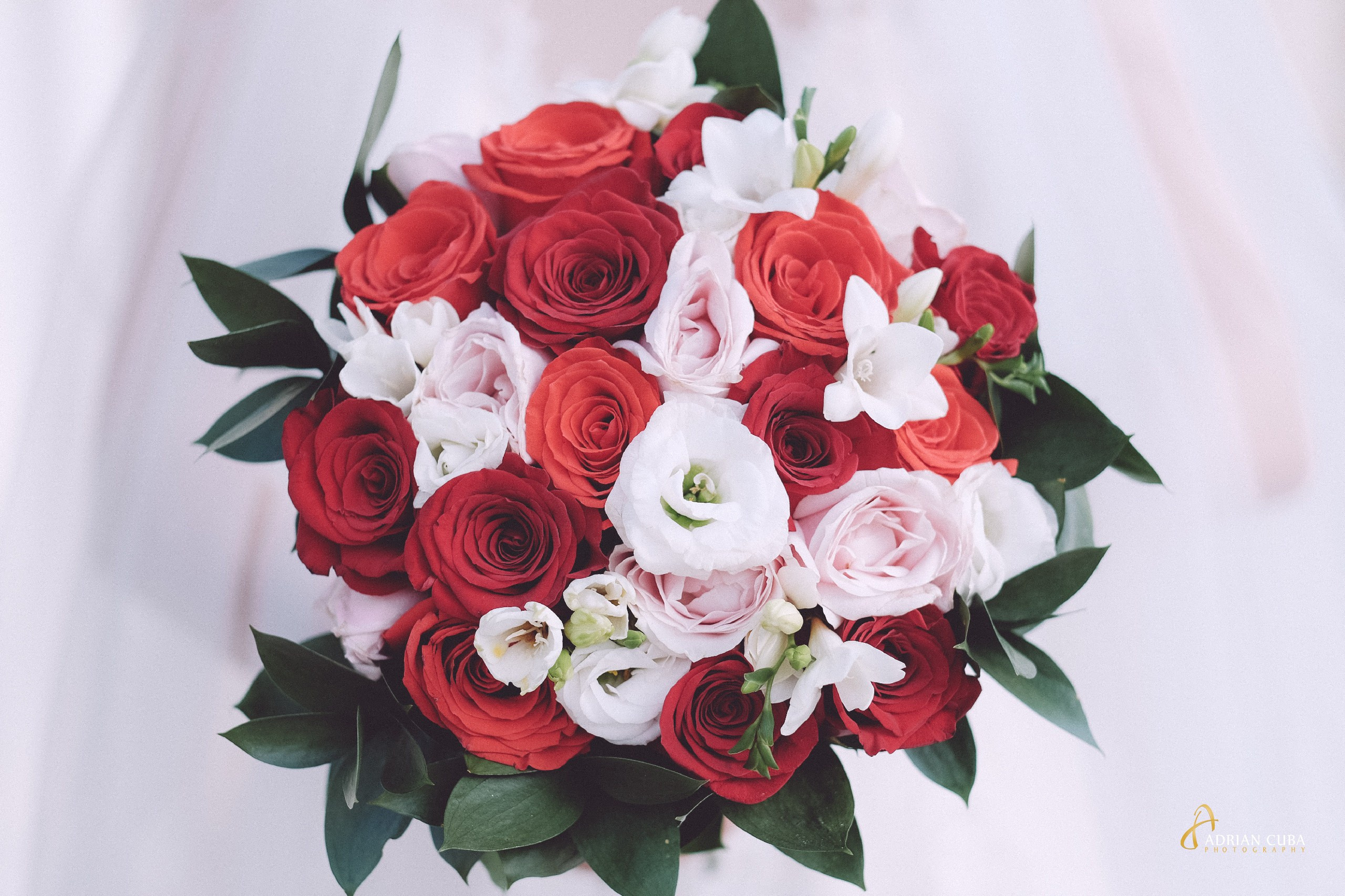 Fotograf nunta Iasi | Adrian Cuba — servicii profesionale de fotografie de nunta