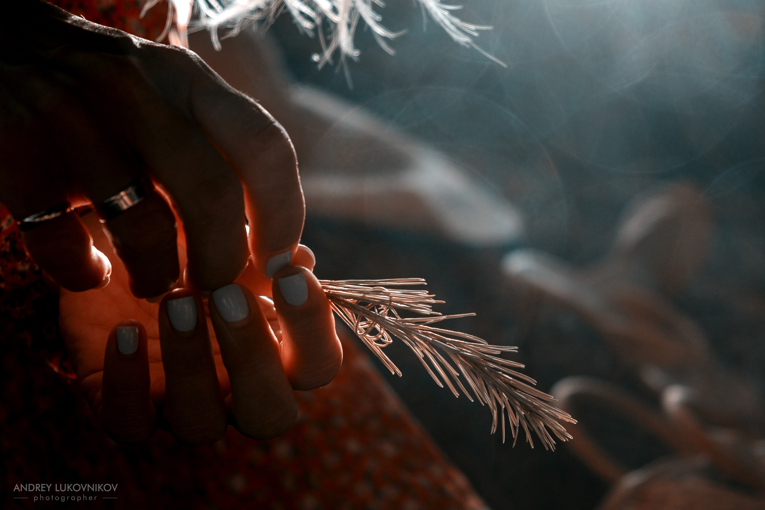 Утренняя фотосессия девушки в лесу Испании