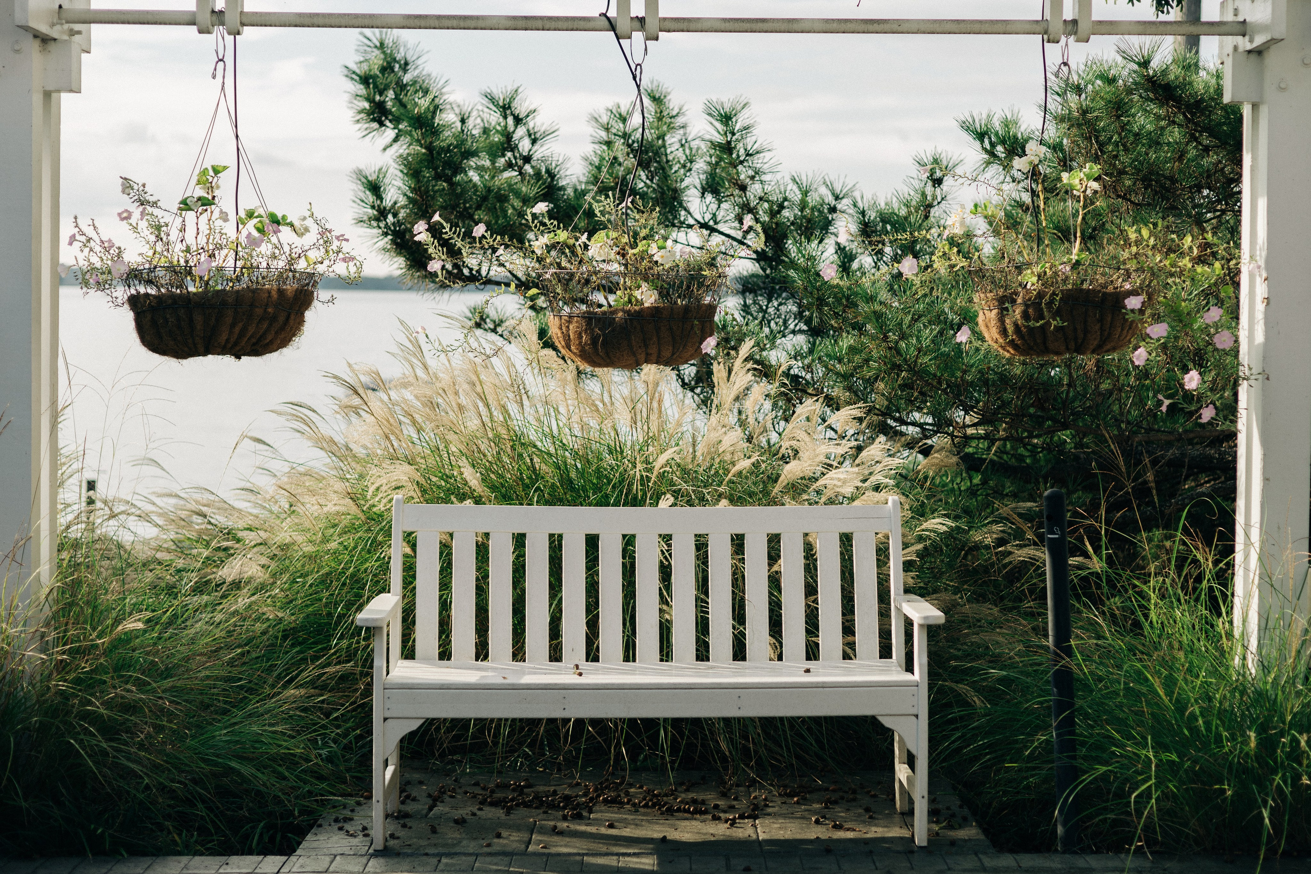 Queer Wedding in Richmond, VA. Sara Eulalia | Virginia Photographer