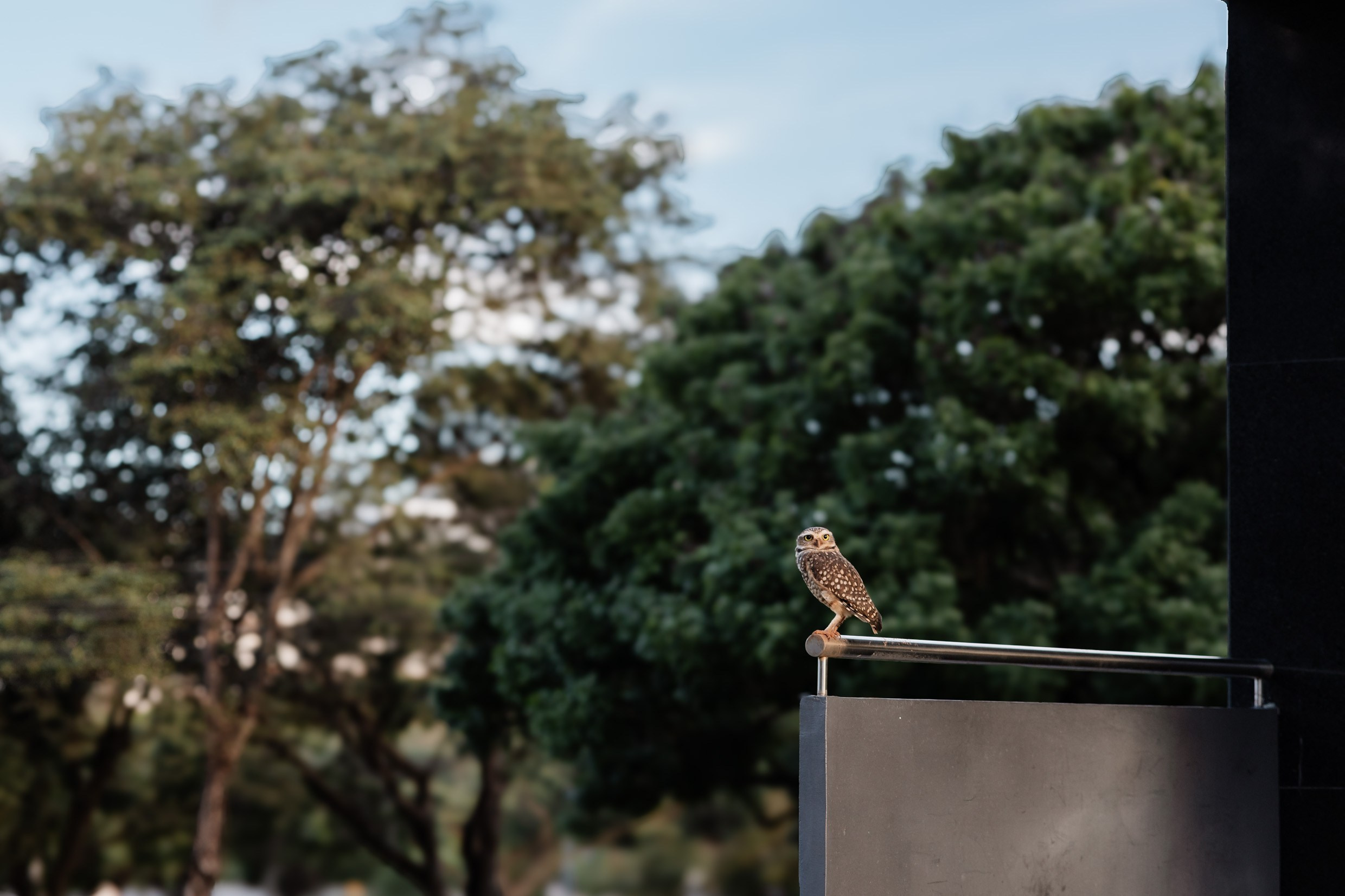 Ensaio mãe e filhos em Brasília • Asa Norte | Fotografia de Família. Fotógrafa em Brasília e Recife | Ensaios de família, gestante e festas infantis — Ize Fotografia