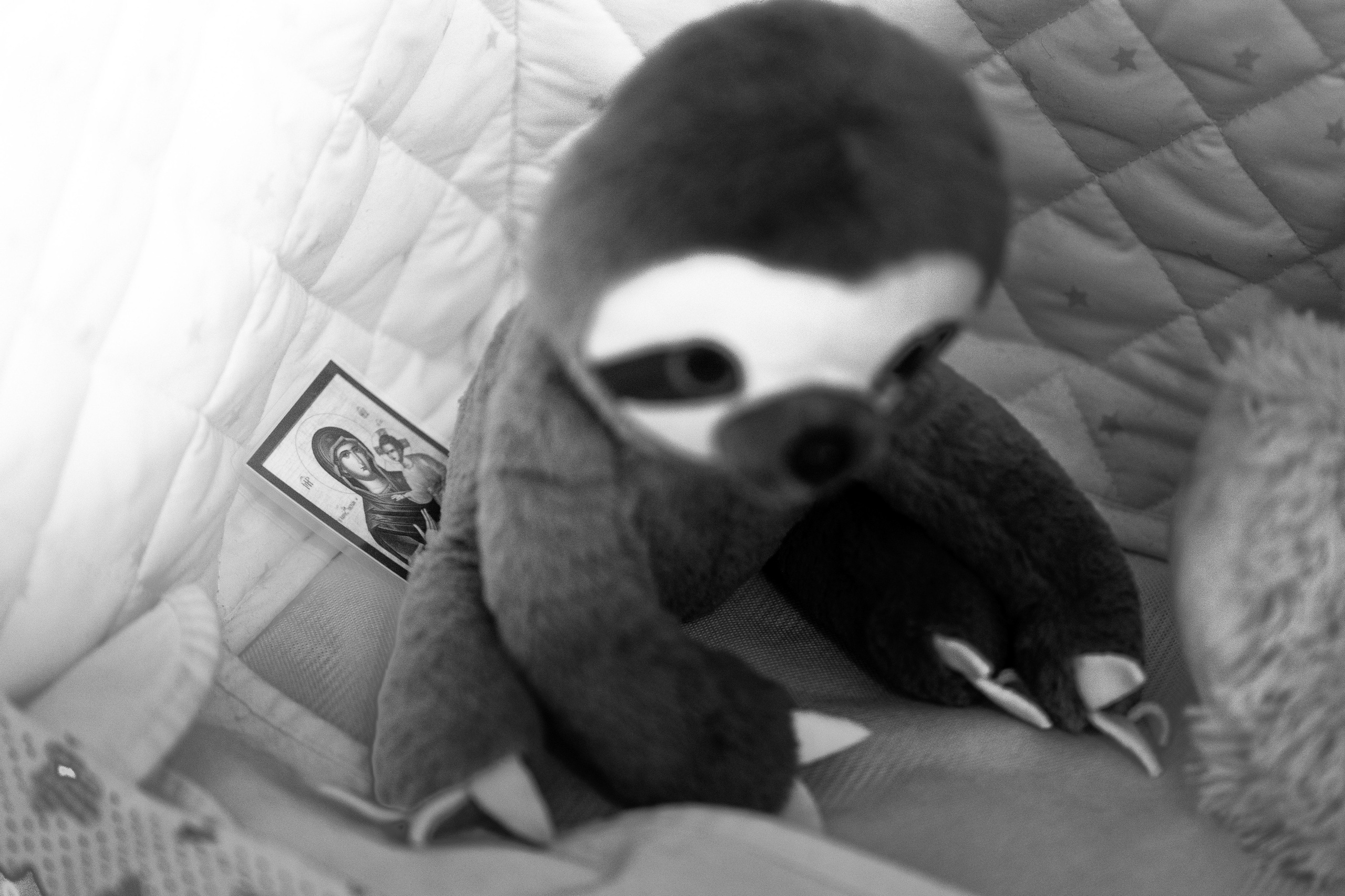 Creștinare Filip. Fotograf evenimente, fotograf nunta, fotograf botez