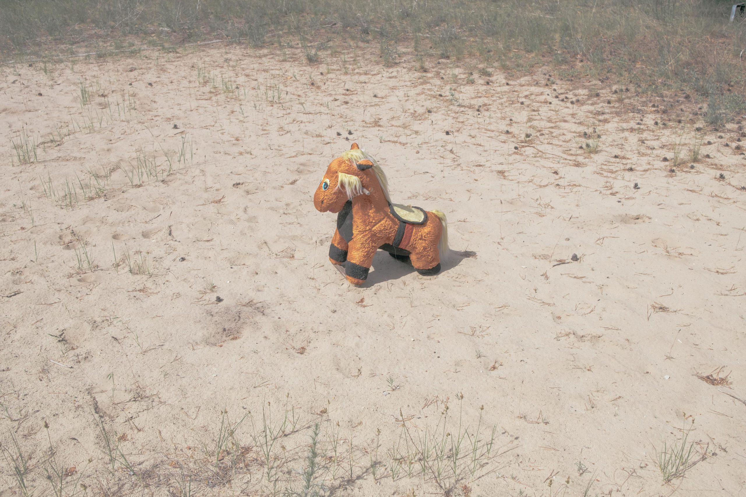 Bikers` camp. Photographer Anastasiya Dubrovina