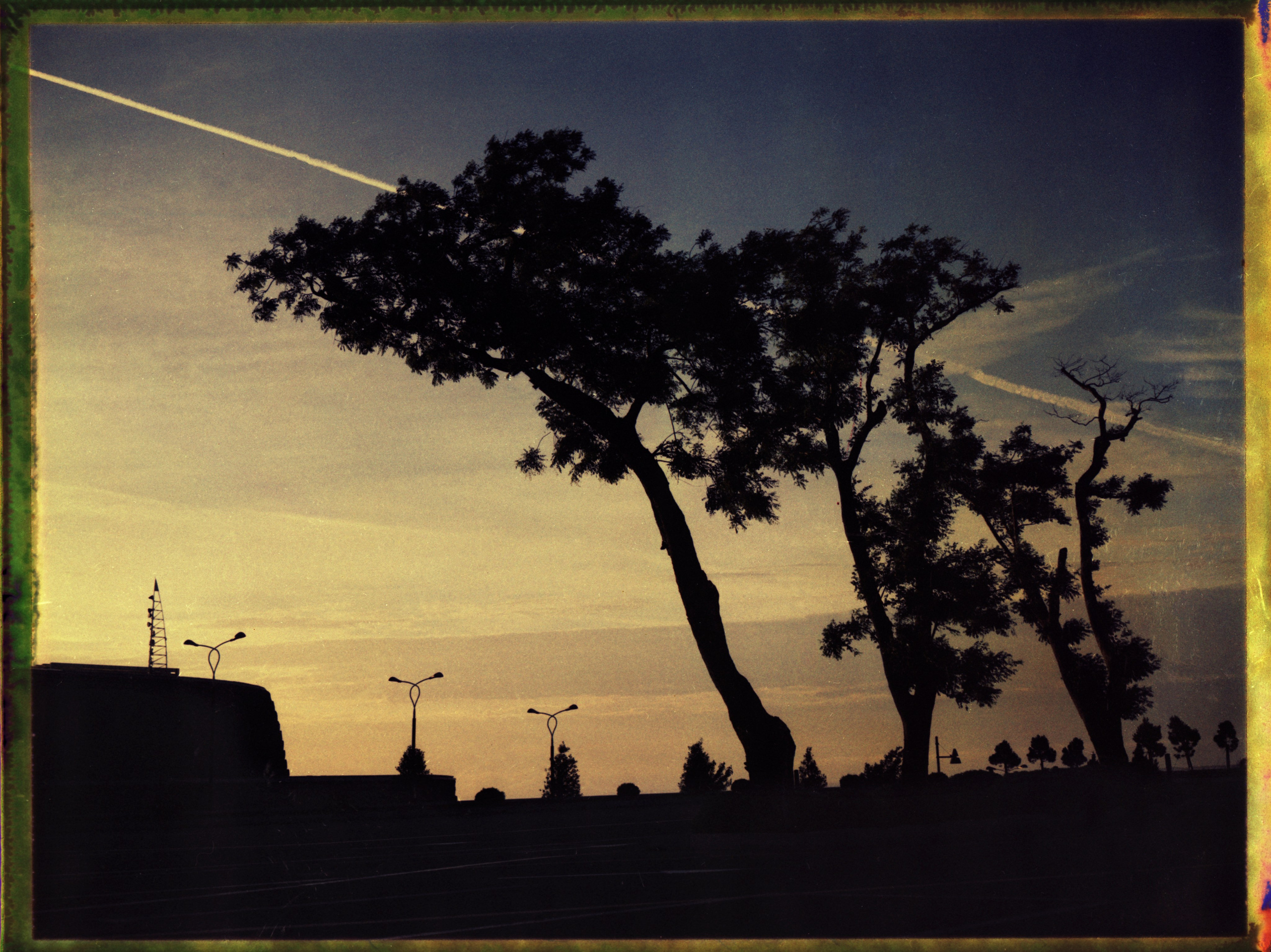 POLAROID. Www.sananaleskerov.com