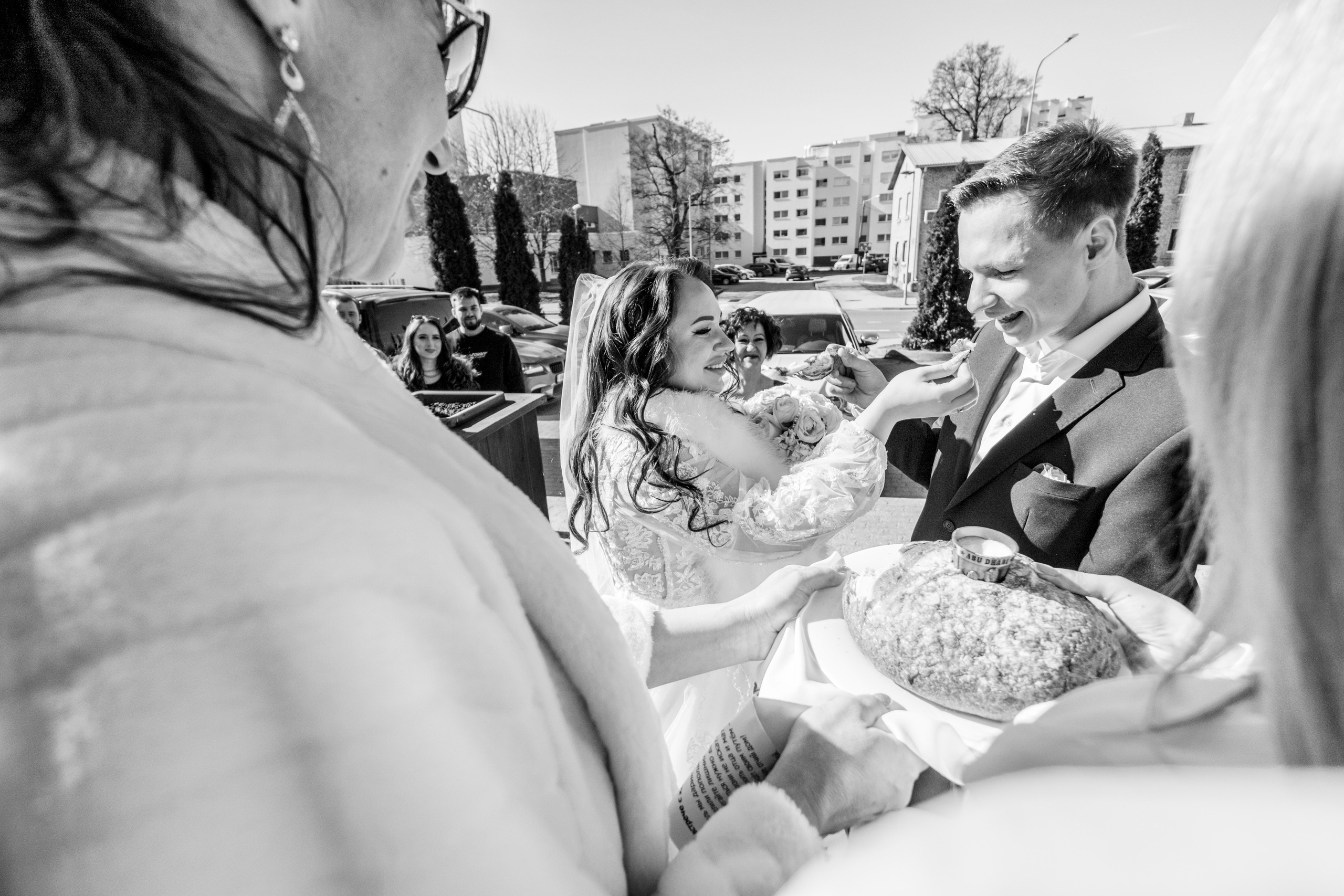 Свадебный фотограф в Таллинне