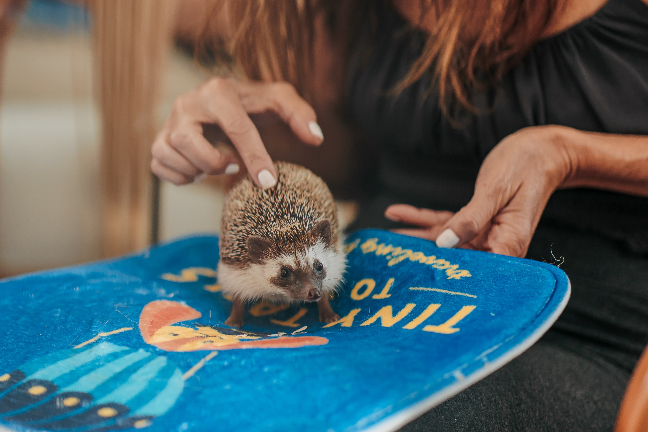 HAWK’S 1ST BIRTHDAY. AUSTIN, TEXAS. A FRIENDS AND FAMILY GATHERING. Professional Photography in Austin, TX — Family, Newborn, Maternity