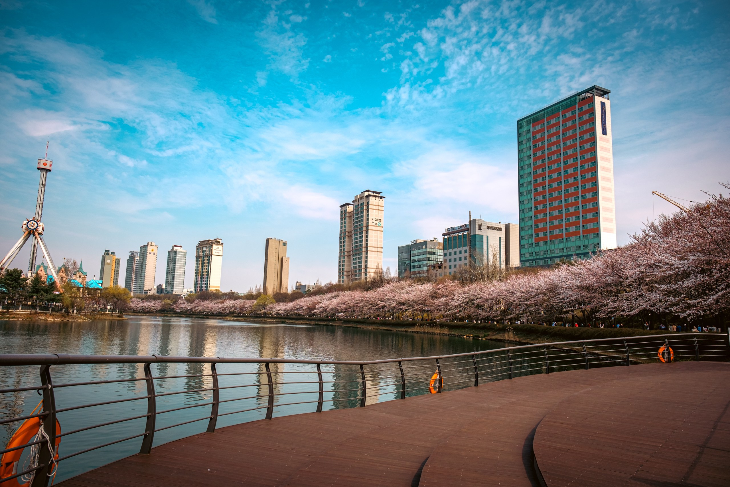 Seoul: cherry blossom. Photographer in Seoul Dobrokvashina Natalya