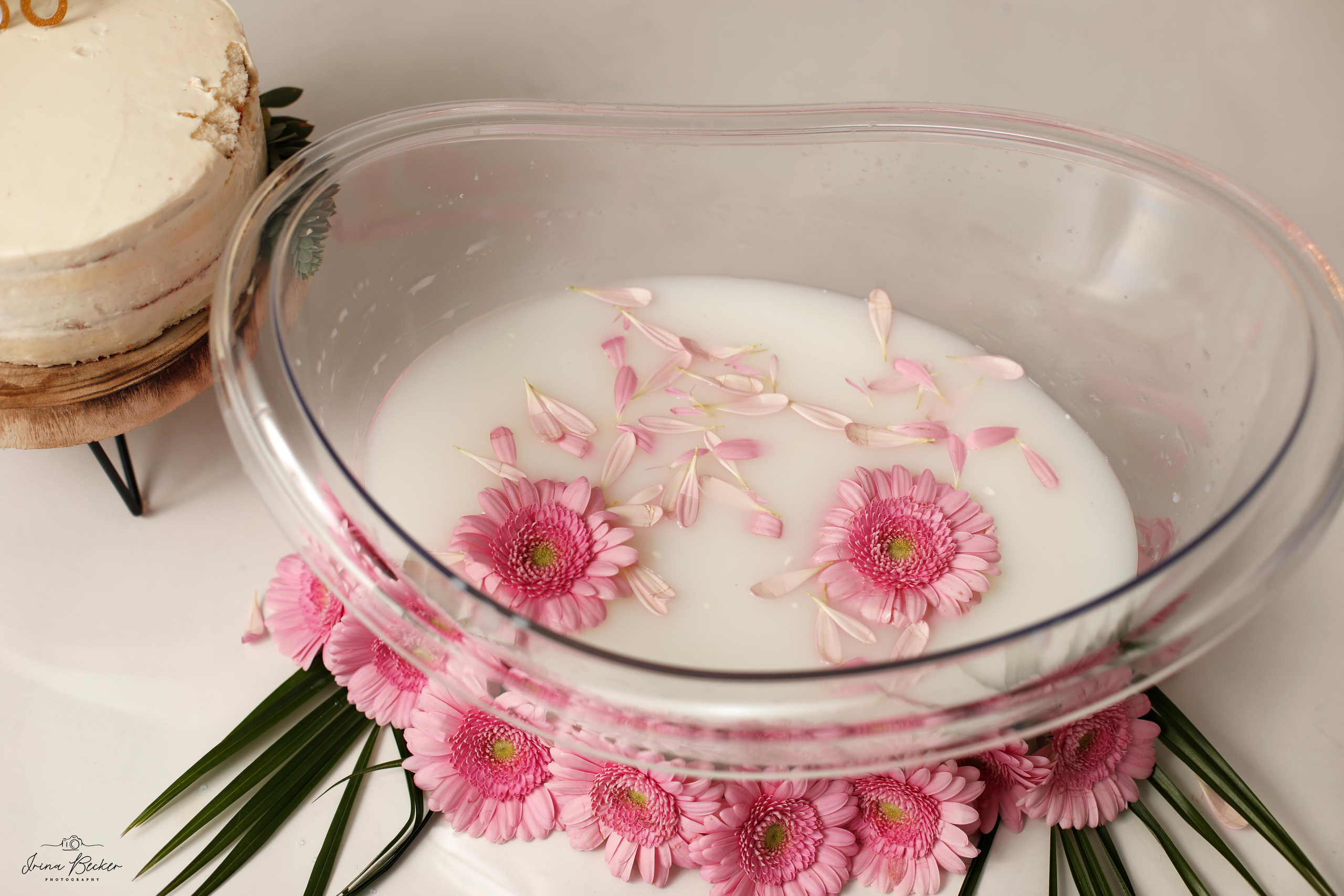 Cake-Smash Ulm, Cake-Smash Stuttgart, Cake-Smash Metzingen, Cake-Smash, Neu-Ulm, Cake-Smash Göppingen,  Erste Torte, Erste Geburtstag, Baby Shooting, Babyfotografie Ulm, Geburtstags Torte, 1 jähr shooting, Erste Torte Ulm, Erste Torte Stuttgart, Erste Torte Metzingen, Erste Torte Neu-Ulm, Babyfotografie Neu-Ulm, Babyfotografie Stuttgart, Babyfotografie Reutlingen, Babyfotografie Memmingen, Babyfotografie Günzburg, Babyfotografie Ravensburg, Babyfotografie Bodensee, Babyfotografie Tübingen, Babyfotografie Sigmaringen, Kindergeburstag Ulm, Babyfotograf Ulm, Babyfotograf Ehingen, Babyfotograf Riedlingen, Babyfotograf Laupheim