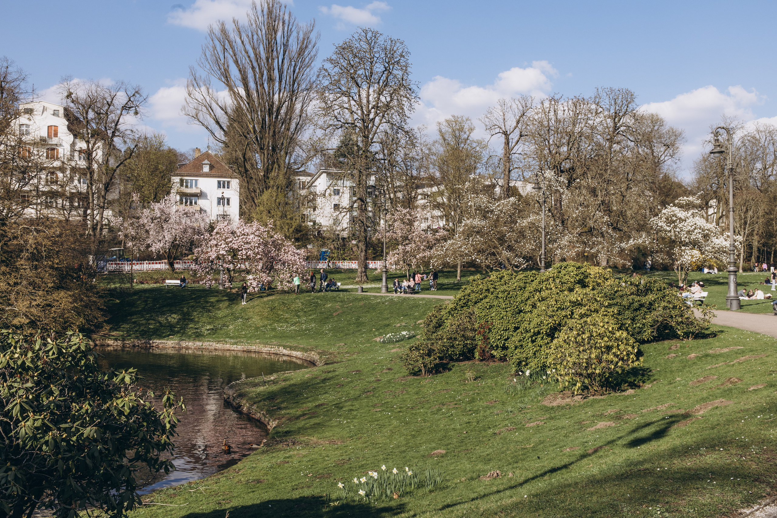 magnolia blossom wedding Germany