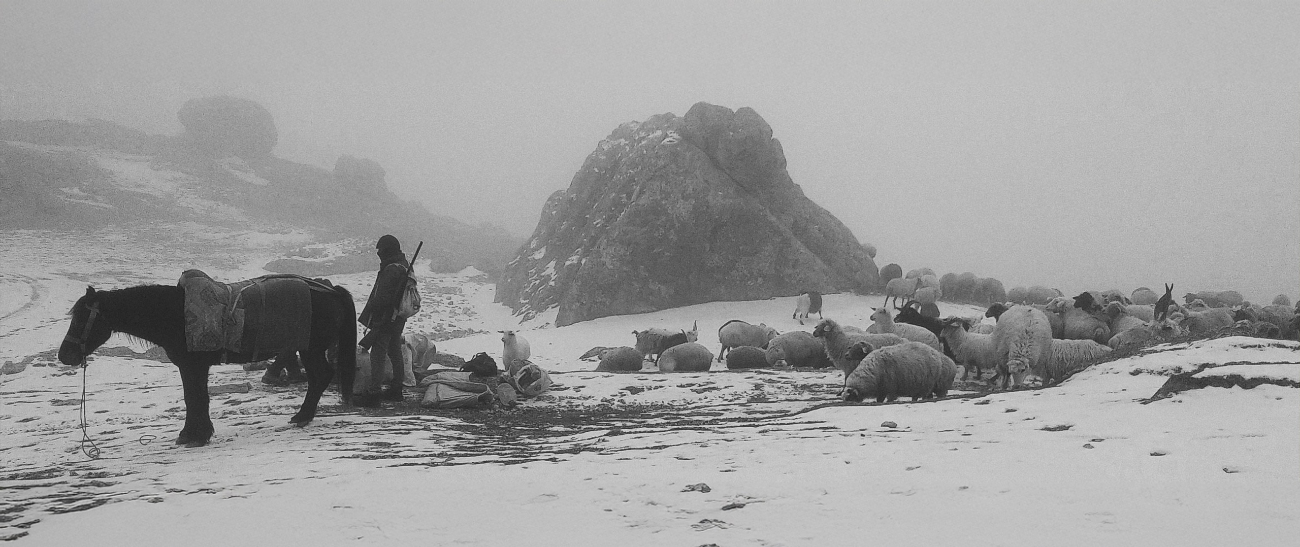Dağ Kəndi Həyatı və Mənzərələri. Bakıda Peşəkar Tədbir, Love Story və Təbiət Fotoqrafı — Elşən Baba