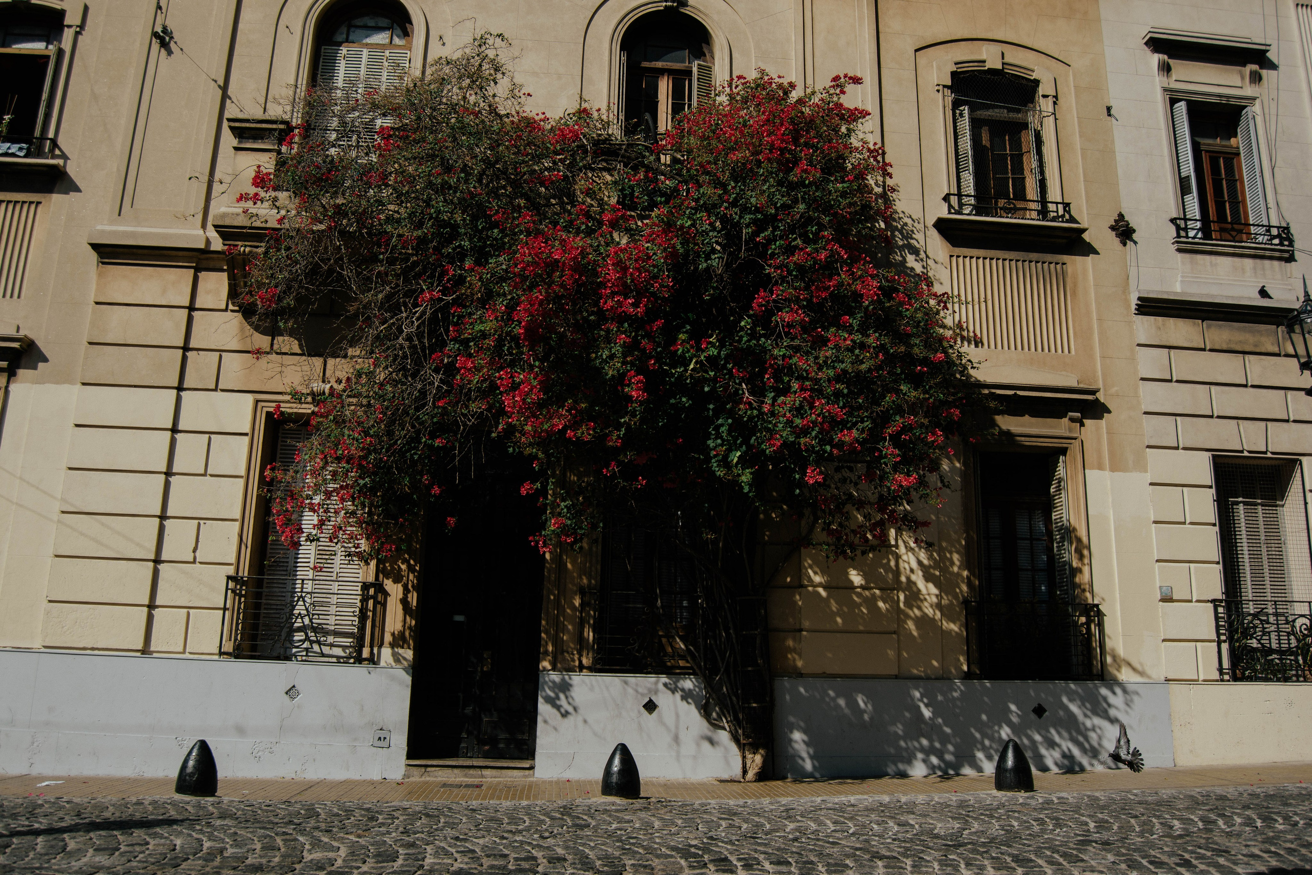 LGBTK+ filming. Buenos Aires. Photographer @elmirkami in the city of Buenos Aires