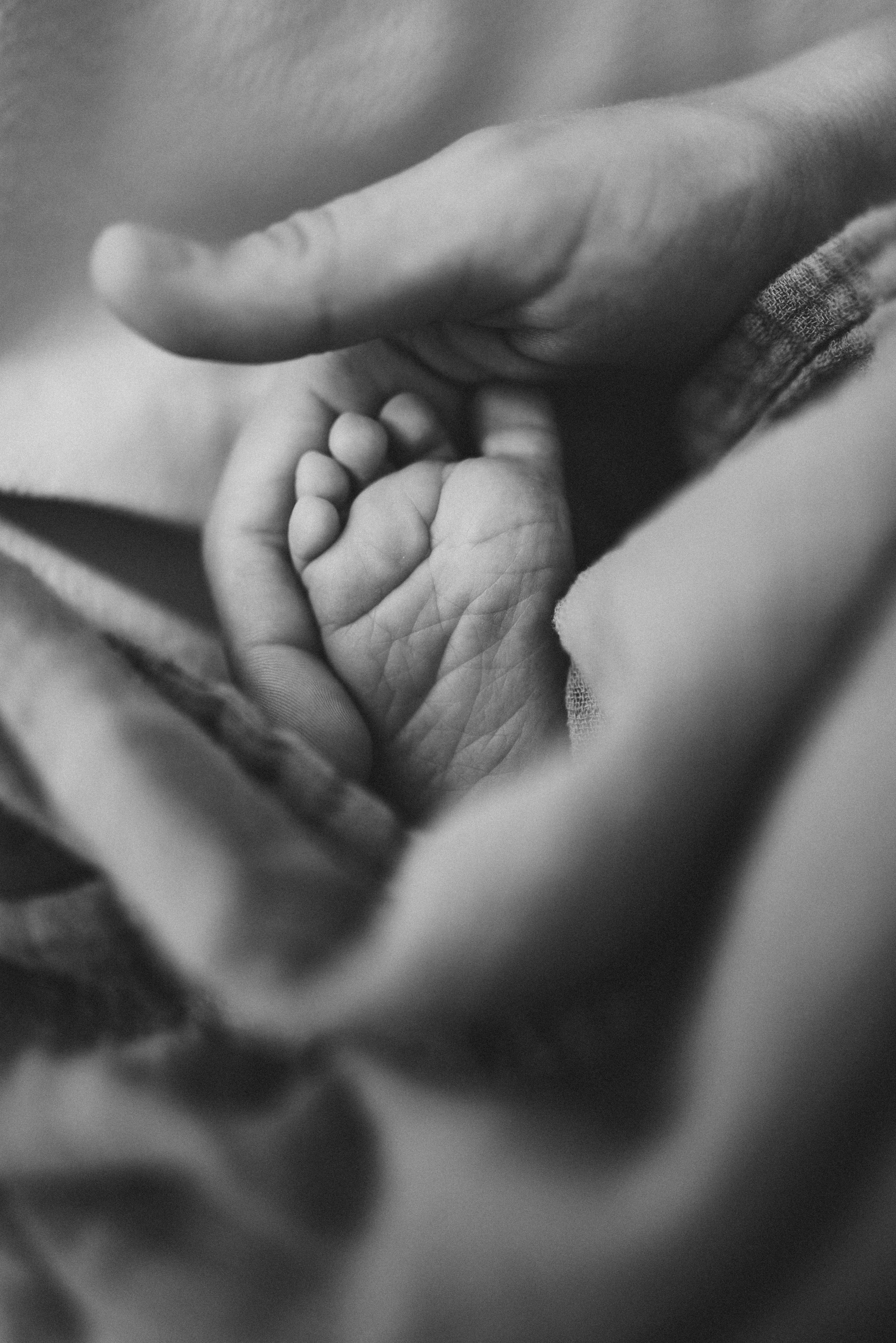 Newborn Photography. Bay Area Family Photographer — Sovanna