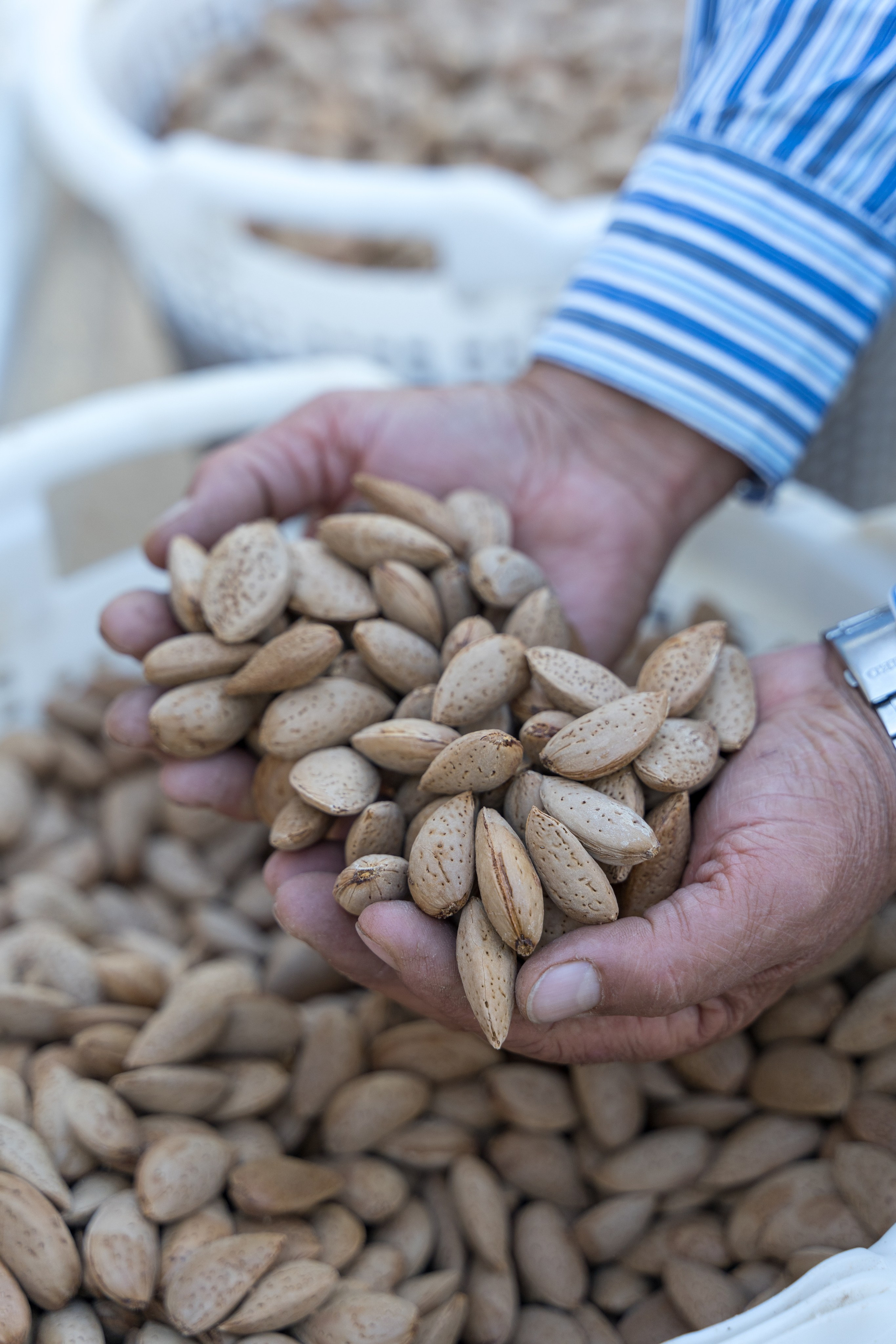 Экскурсия в винный регион Чал из Анталии. Ирина, фотограф в Анталии. Фотосессии в Кемере, Белеке, Сиде, Бодруме, Каше и Фетхие
