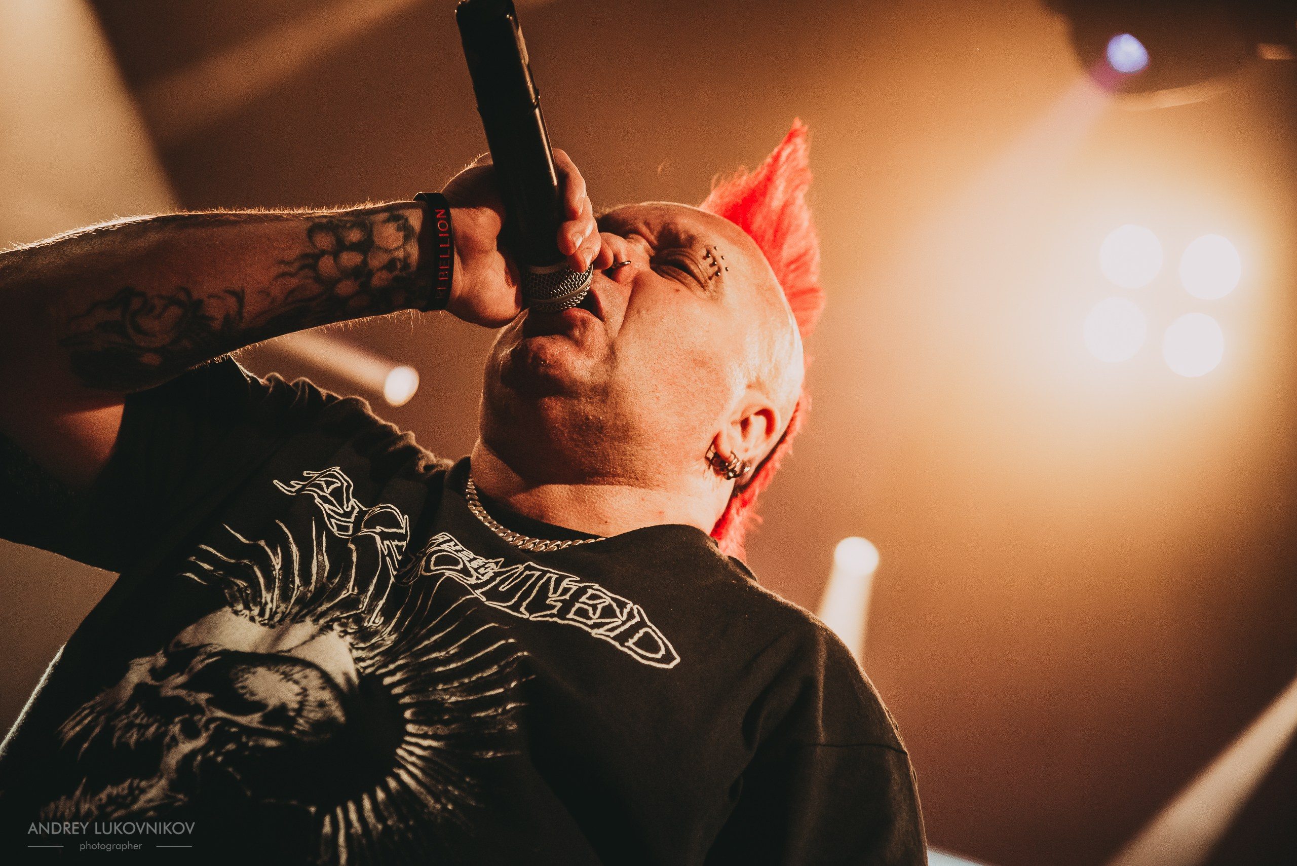 The Exploited. Tour 2017