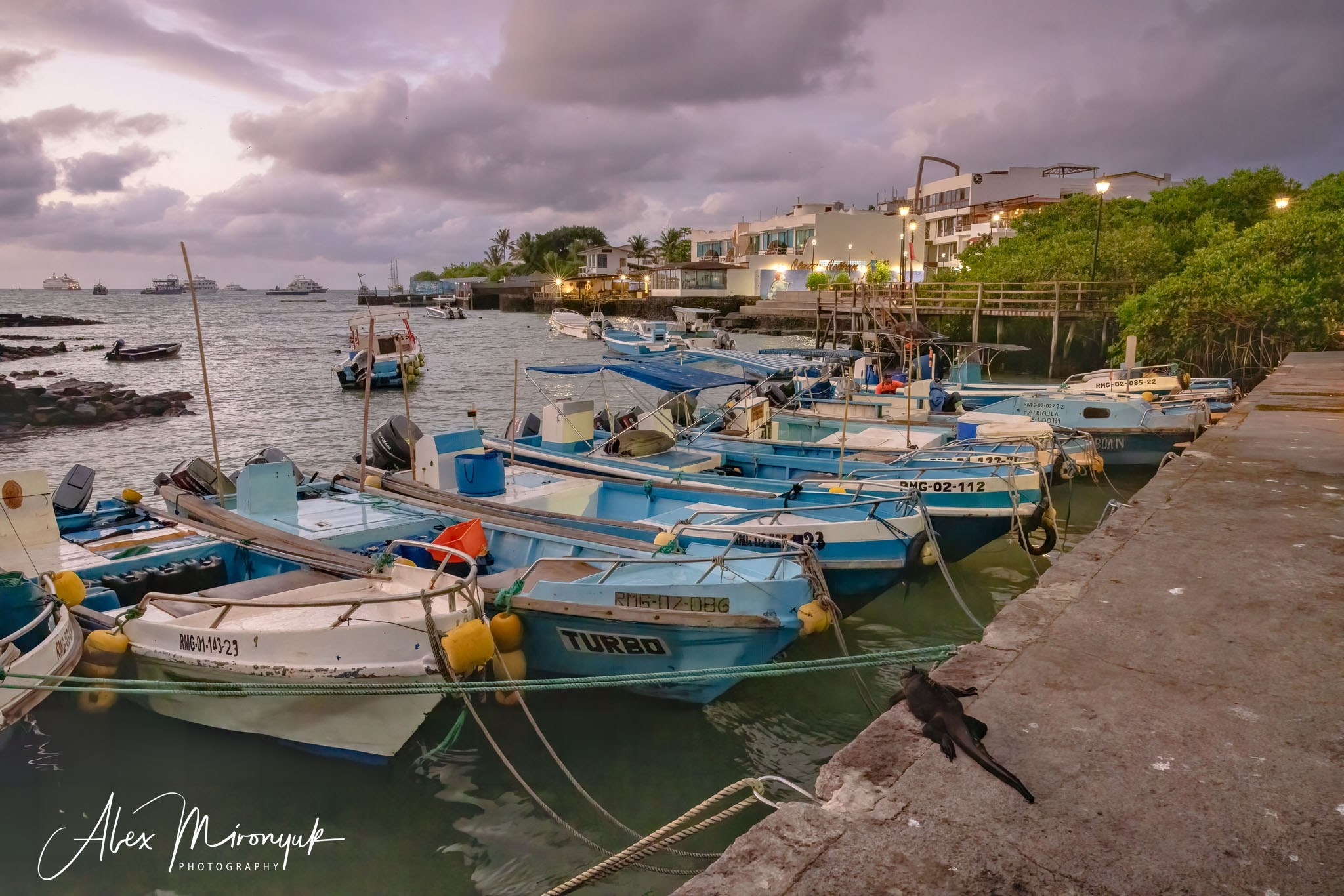 Galapagos Islands Adventure. Alex Mironyuk Photography