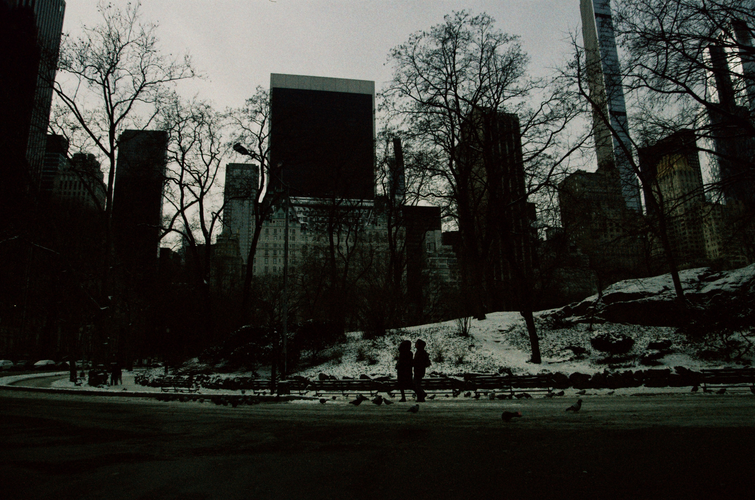 Нью-Йорк в январе: холодно, но волшебно!