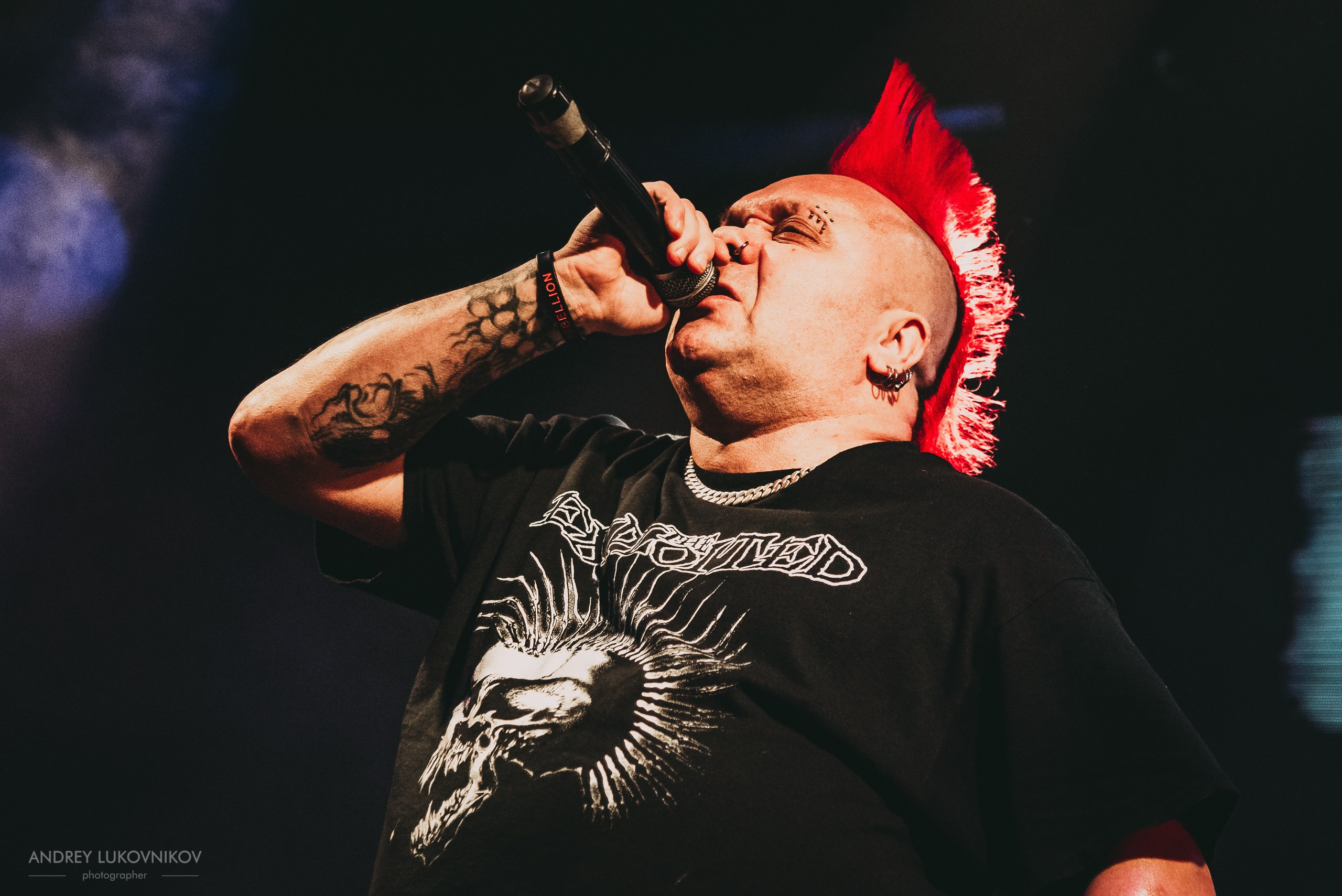The Exploited. Tour 2017