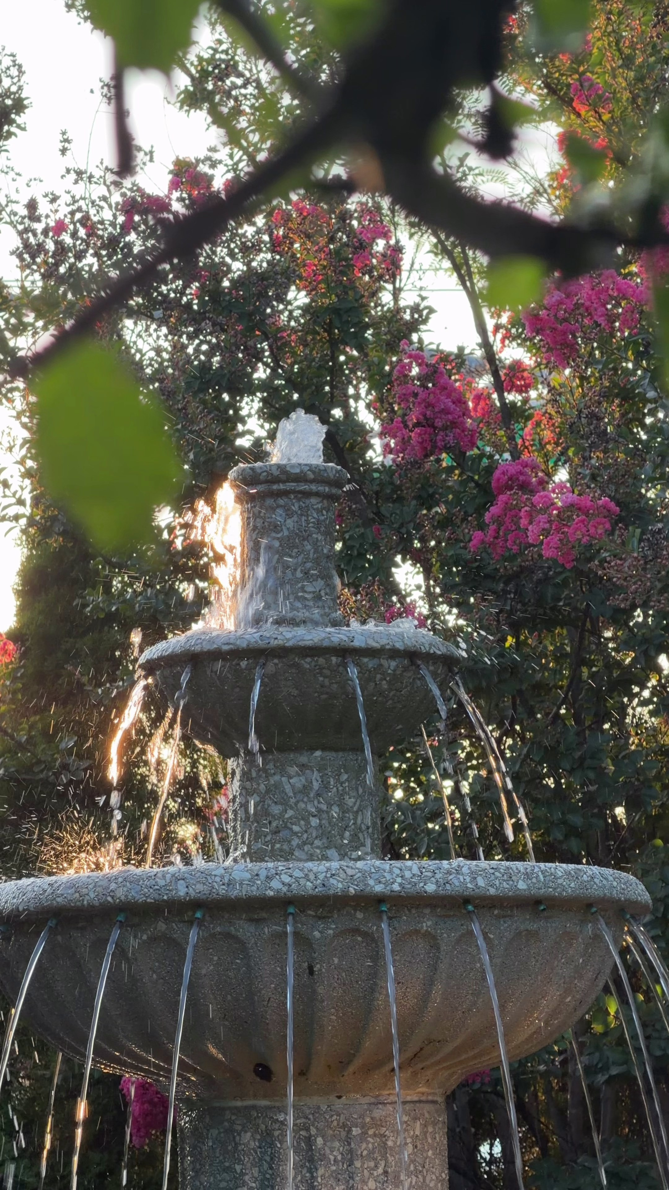 Content Creation. Wedding Photo & Video