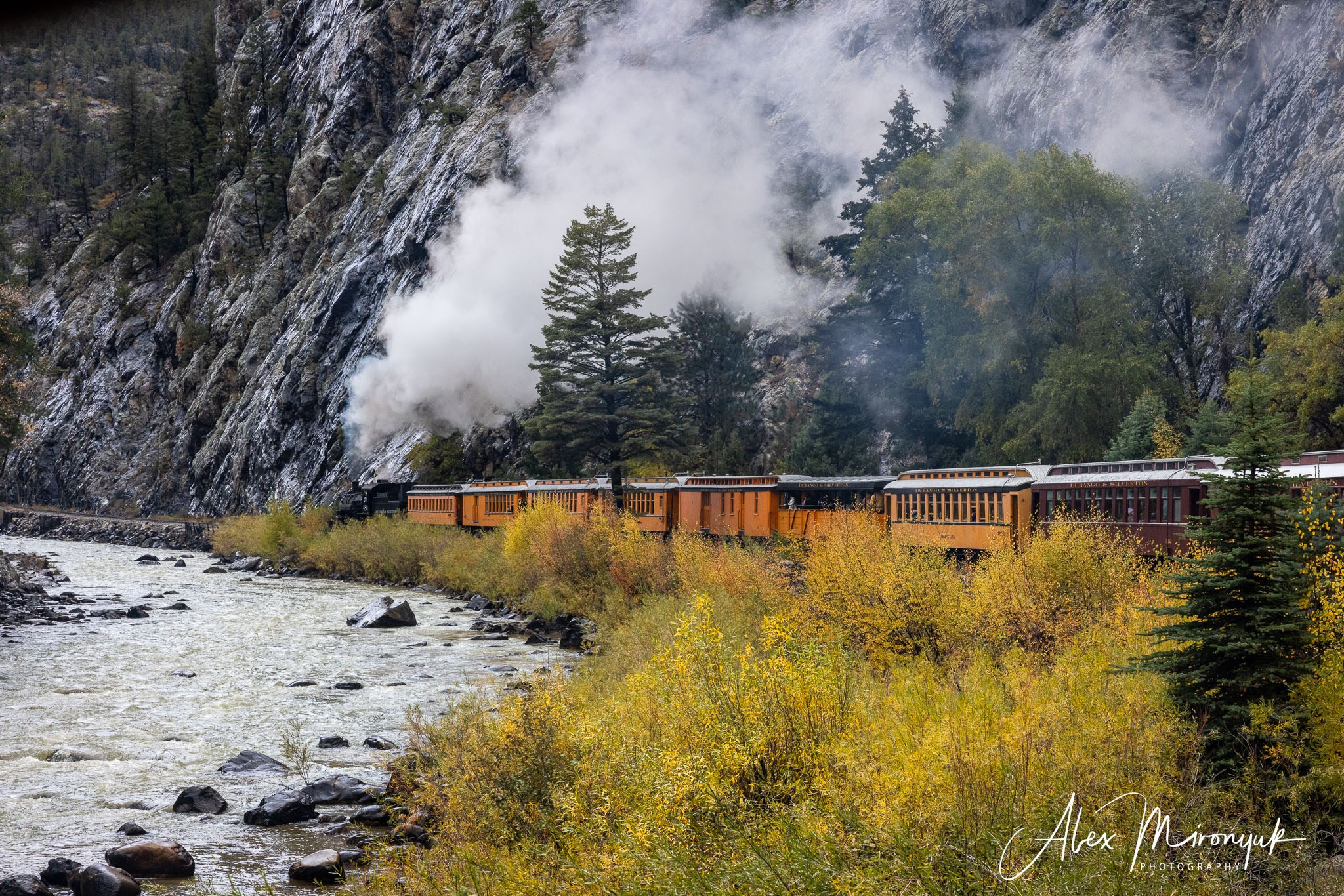 Fall Colors Of Colorado. Pet, Senior, Landscape, portrait studio, photographer in Miami and Sou
