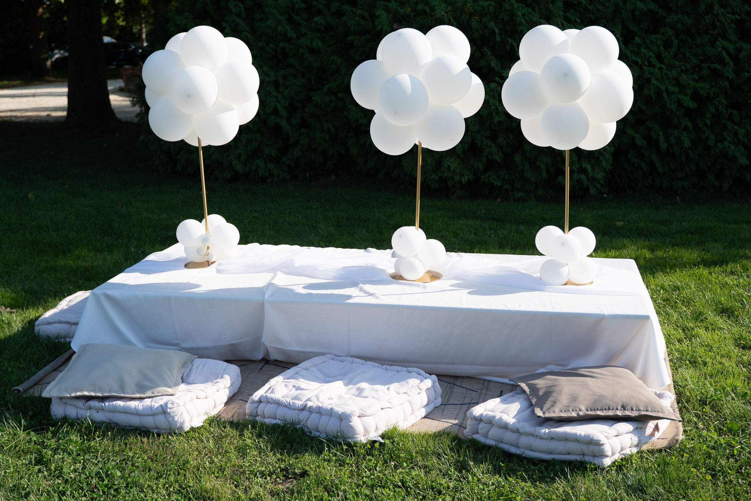 Sanja & Boban. Wedding photography