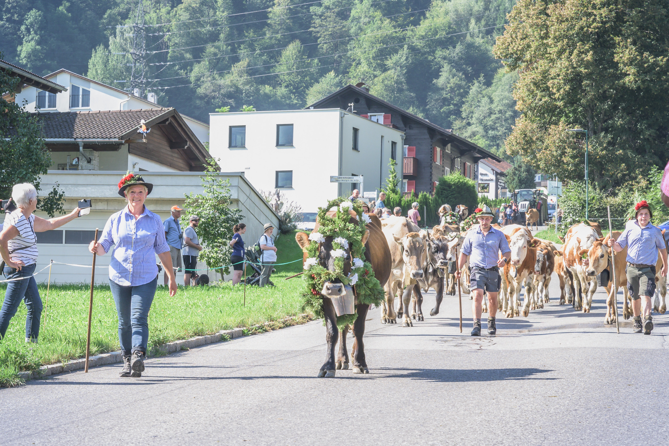 Alpabtrieb in Tschagguns, Montafon