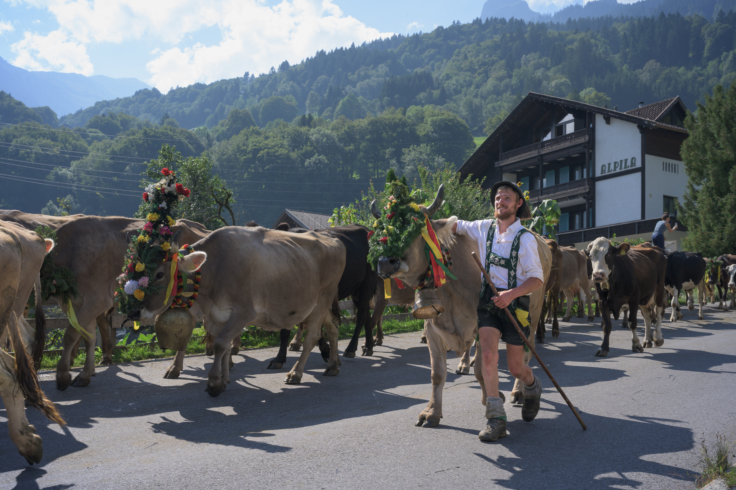 Alpabtrieb in Tschagguns, Montafon