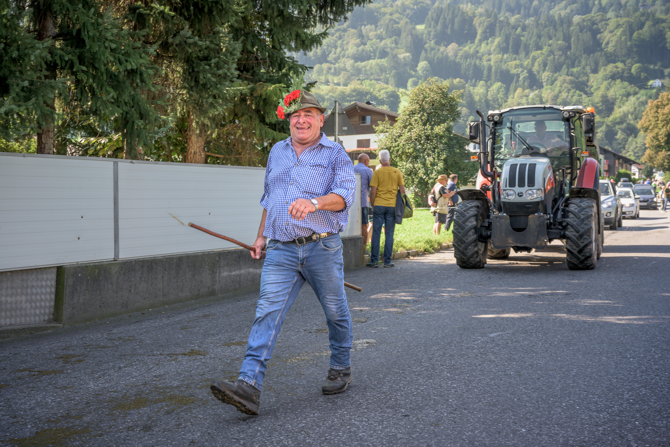 Alpabtrieb in Tschagguns, Montafon