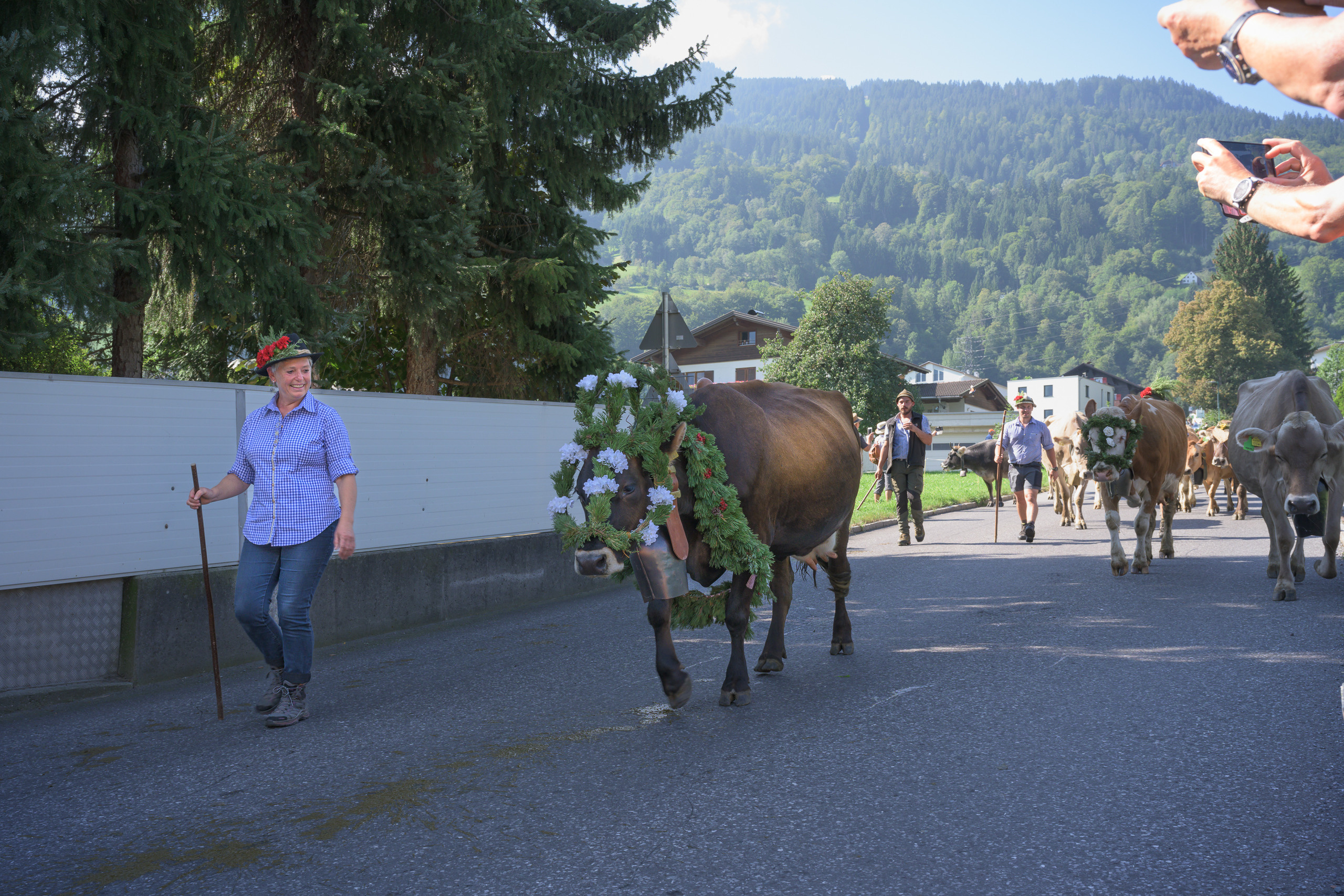 Alpabtrieb in Tschagguns, Montafon