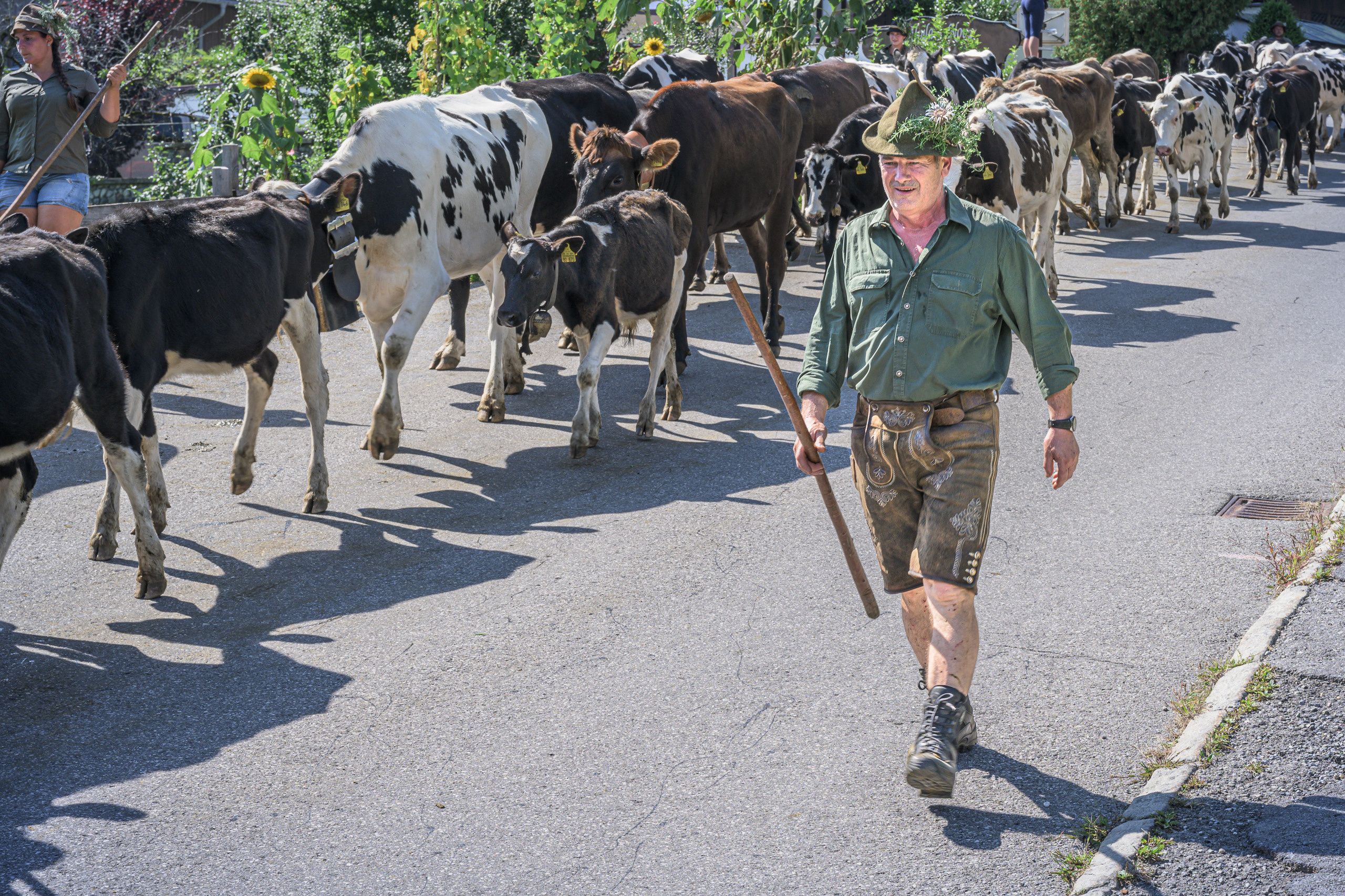 Alpabtrieb in Tschagguns, Montafon