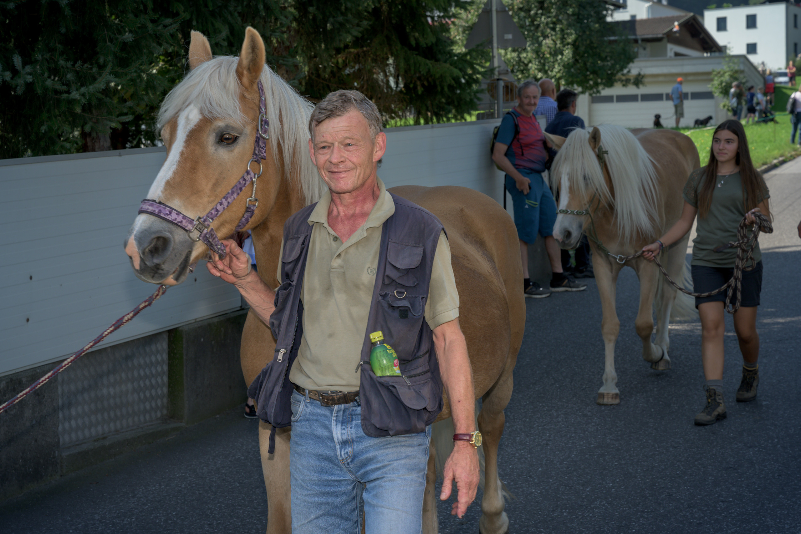 Alpabtrieb in Tschagguns, Montafon