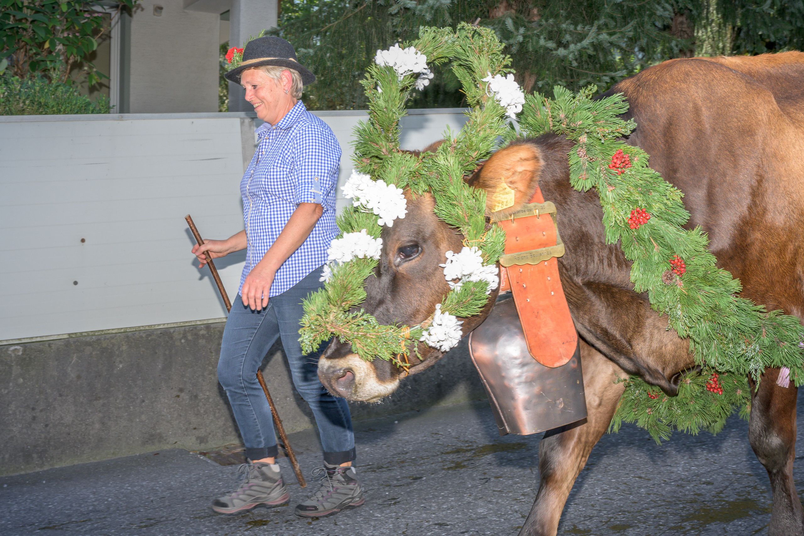 Alpabtrieb in Tschagguns, Montafon