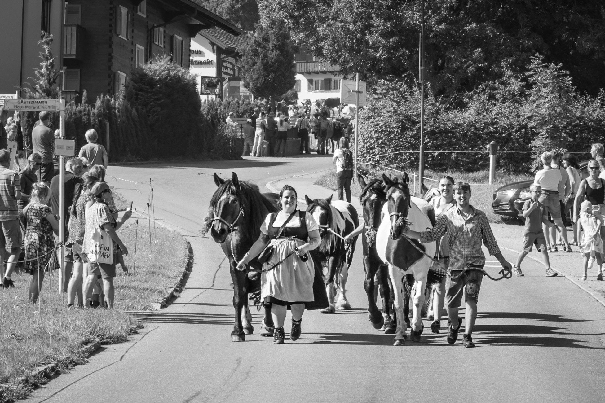 Alpabtrieb in Tschagguns, Montafon