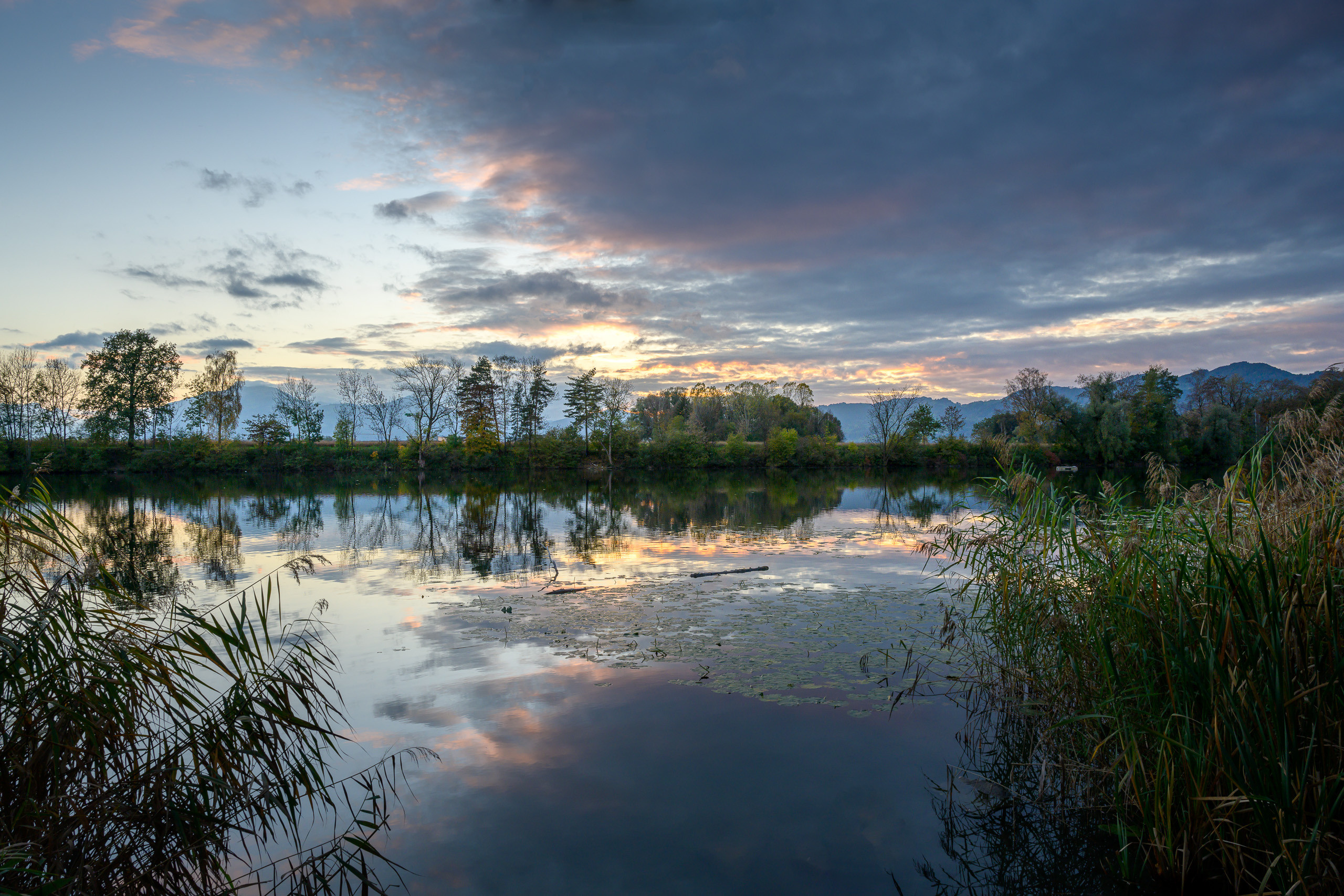 Porträt und Content Fotograf aus Feldkirch Jack Dovgani
